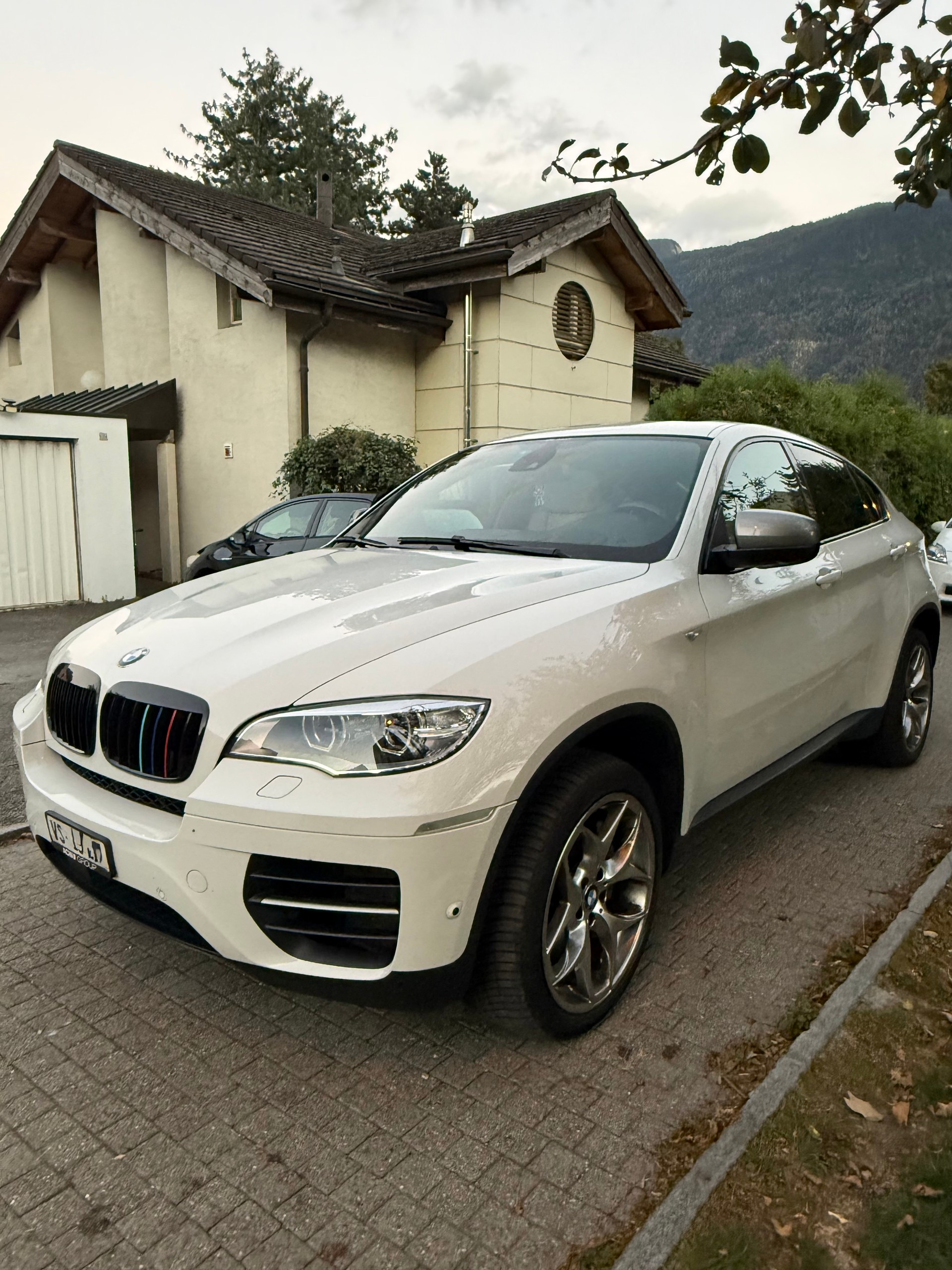 BMW X6 M50d Steptronic-image-2