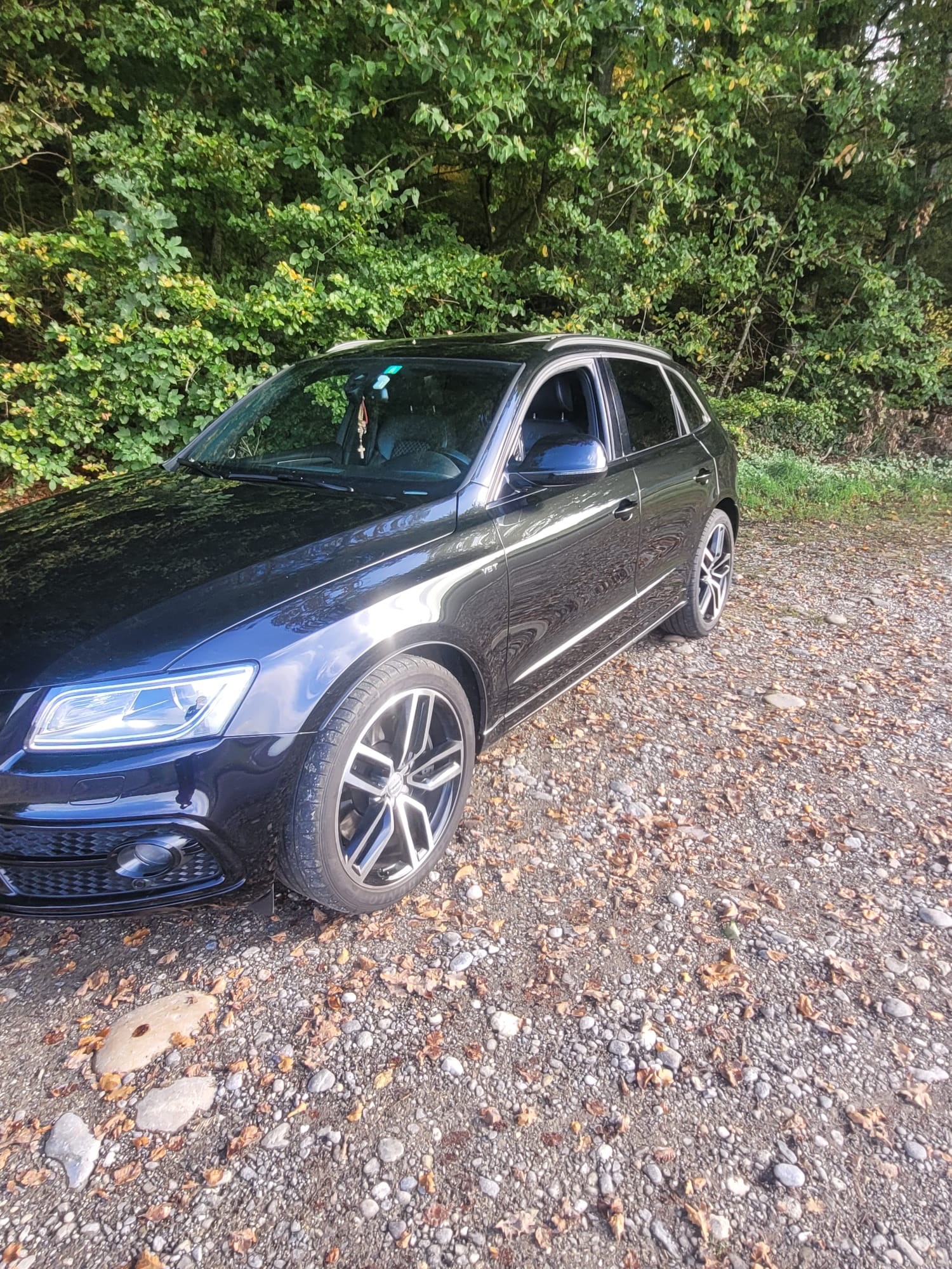 AUDI SQ5 3.0 TDI plus quattro tiptronic-image-2