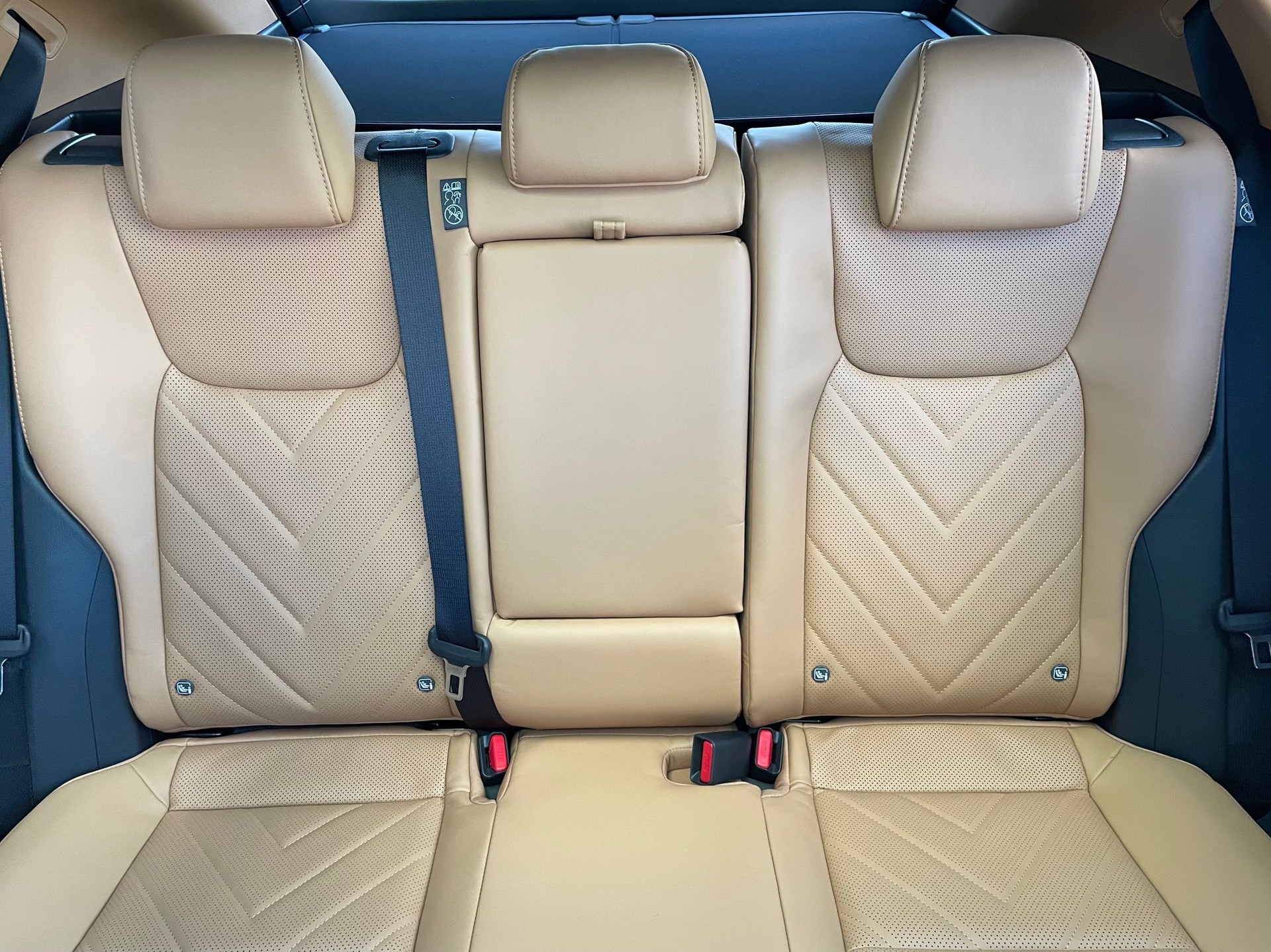 LEXUS NX 350h E-FOUR Comfort-image-15