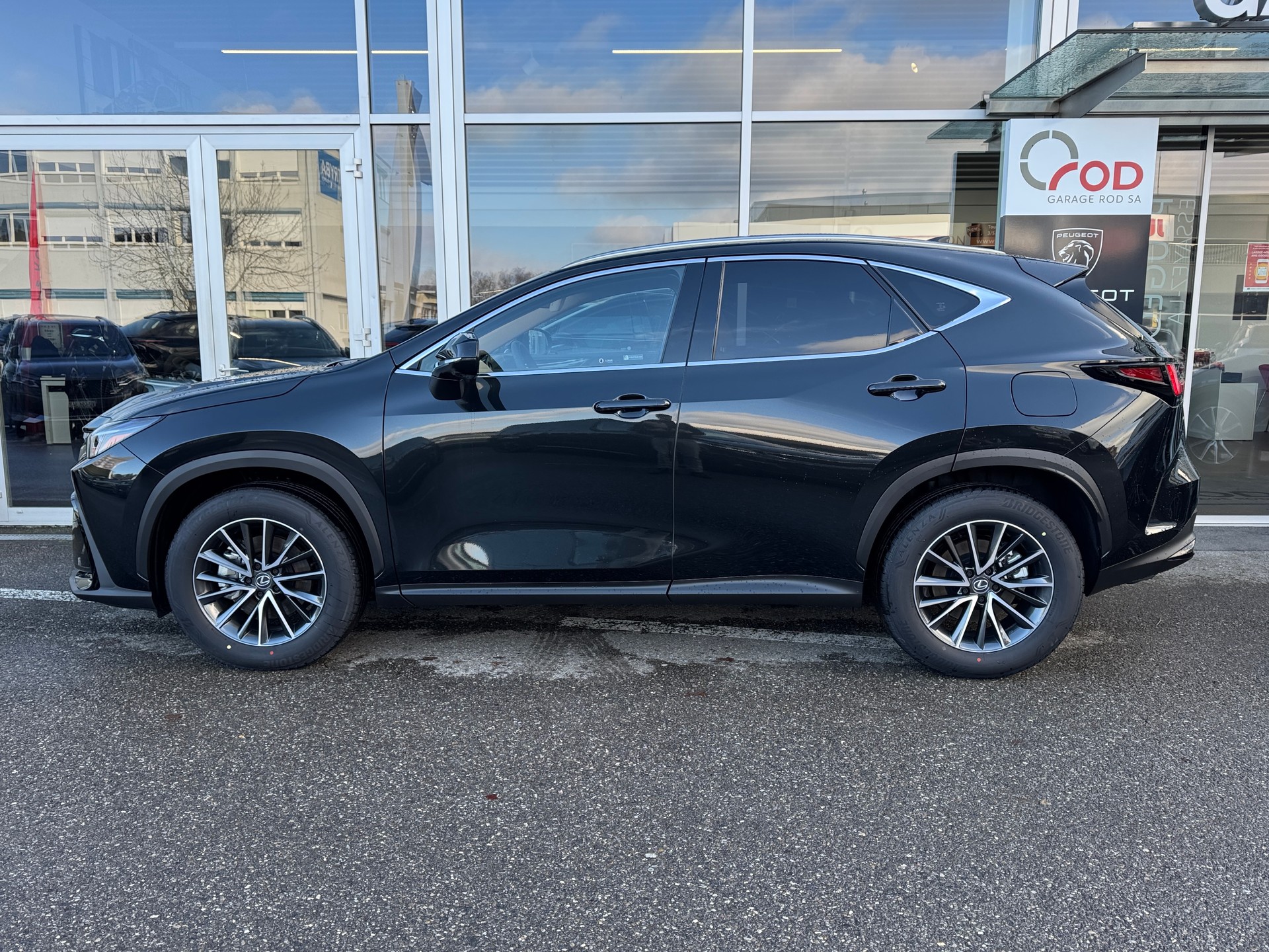 LEXUS NX 350h E-FOUR Comfort-showroom-element-3