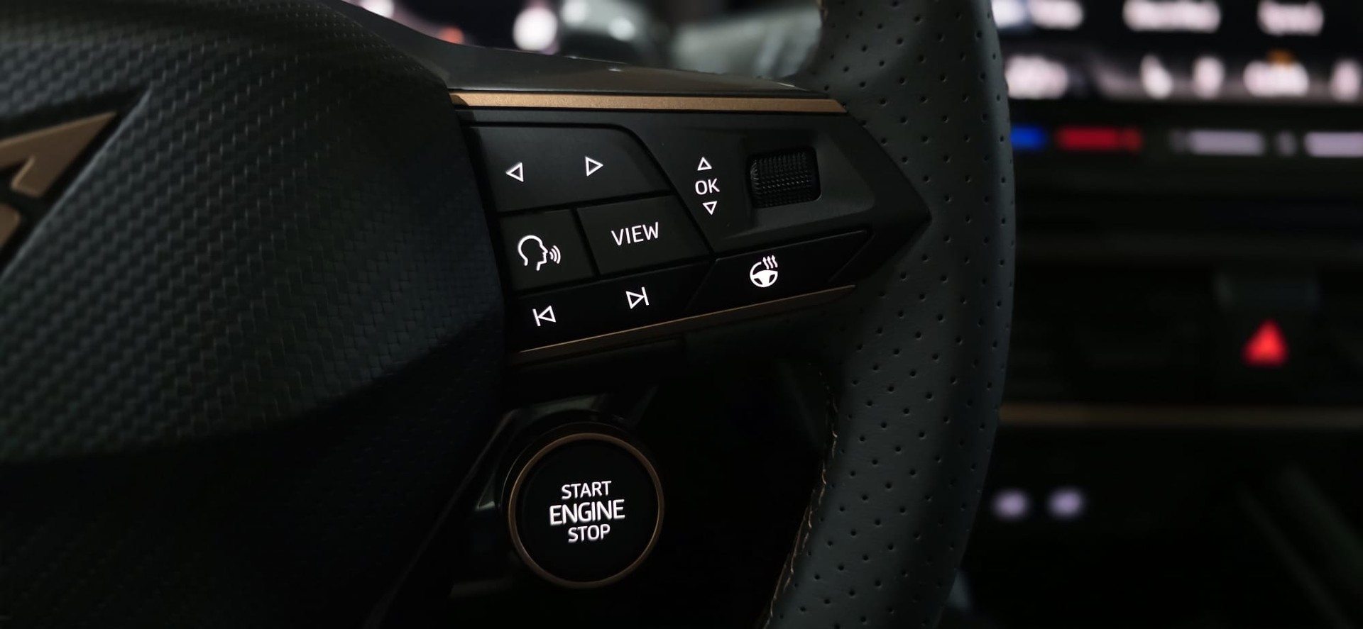 CUPRA LEON ST 2.0 TSI VZ DSG 4Drive + *Anhängerkupplung*-image-12