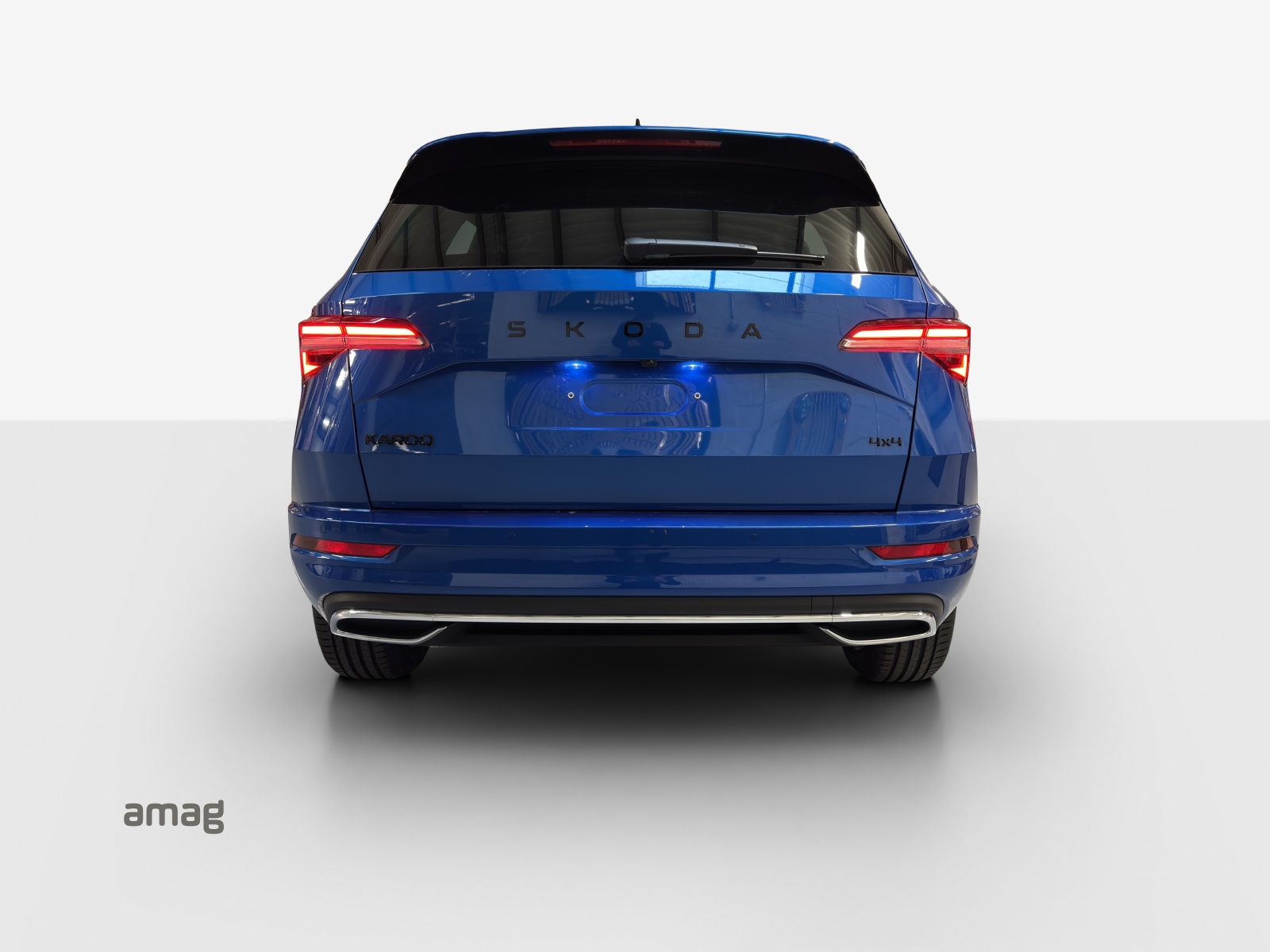 SKODA Karoq 2.0 TSI Dynamic Limited Edition 4x4 DSG-image-3