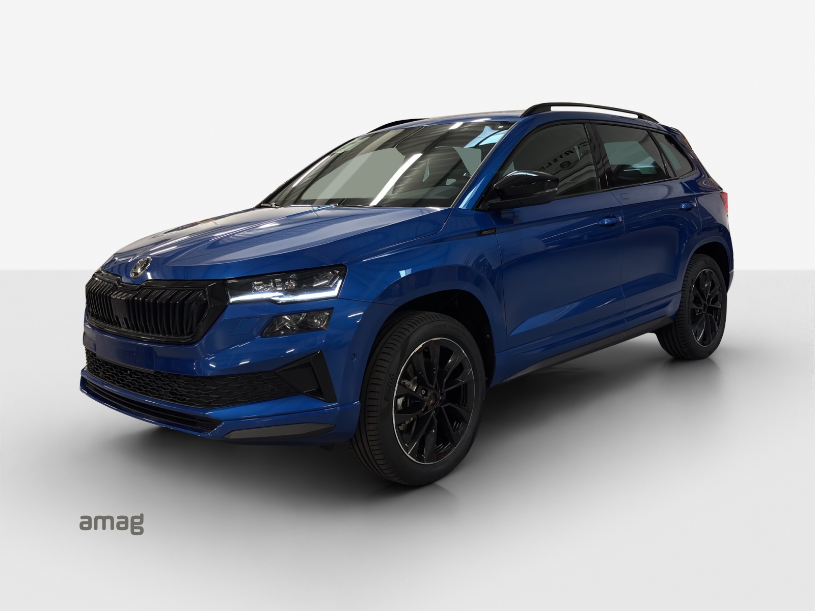 SKODA Karoq 2.0 TSI Dynamic Limited Edition 4x4 DSG-image-0