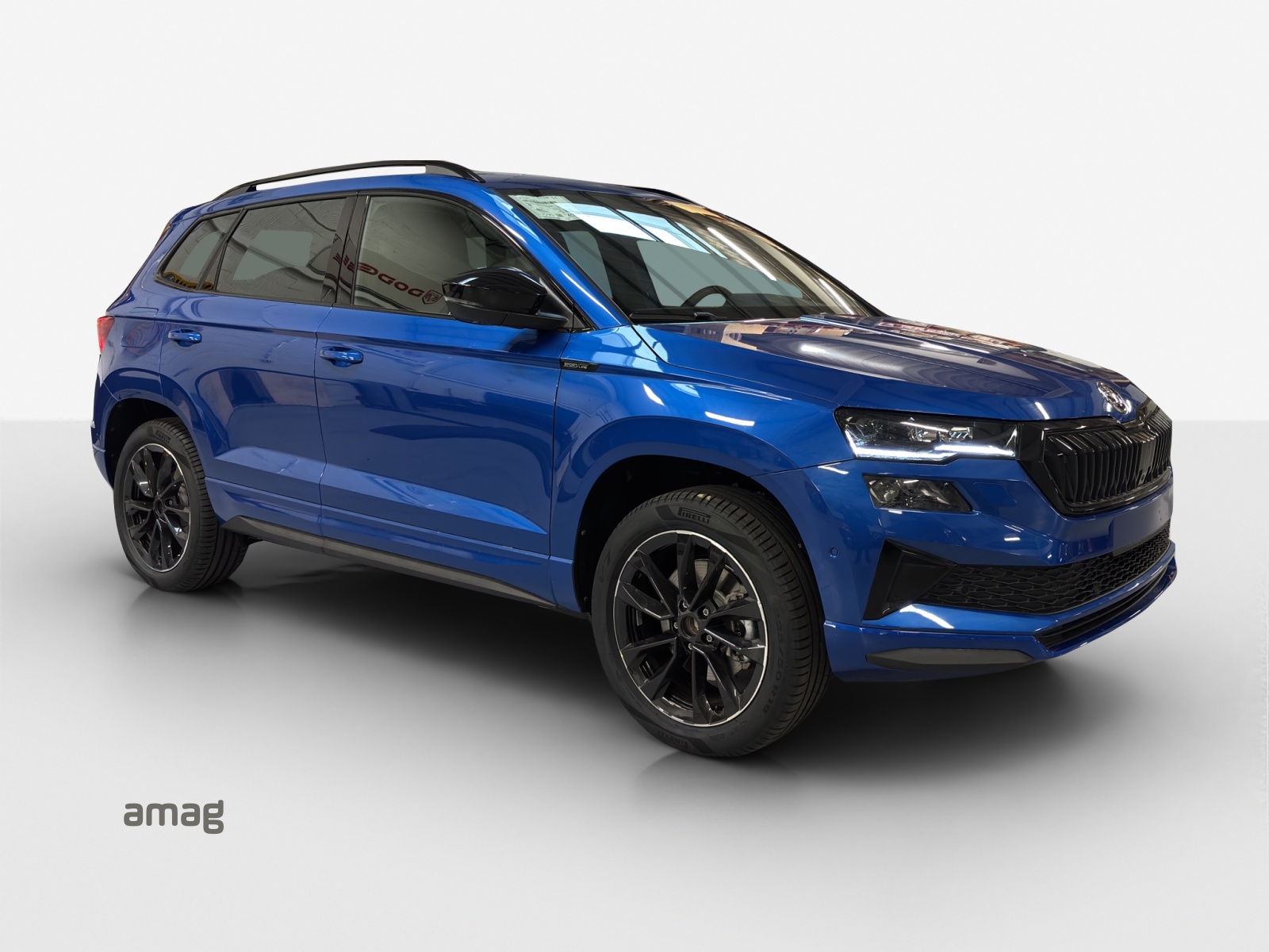 SKODA Karoq 2.0 TSI Dynamic Limited Edition 4x4 DSG-image-5