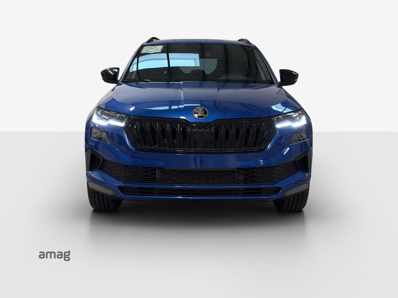 SKODA Karoq 2.0 TSI Dynamic Limited Edition 4x4 DSG-image-6