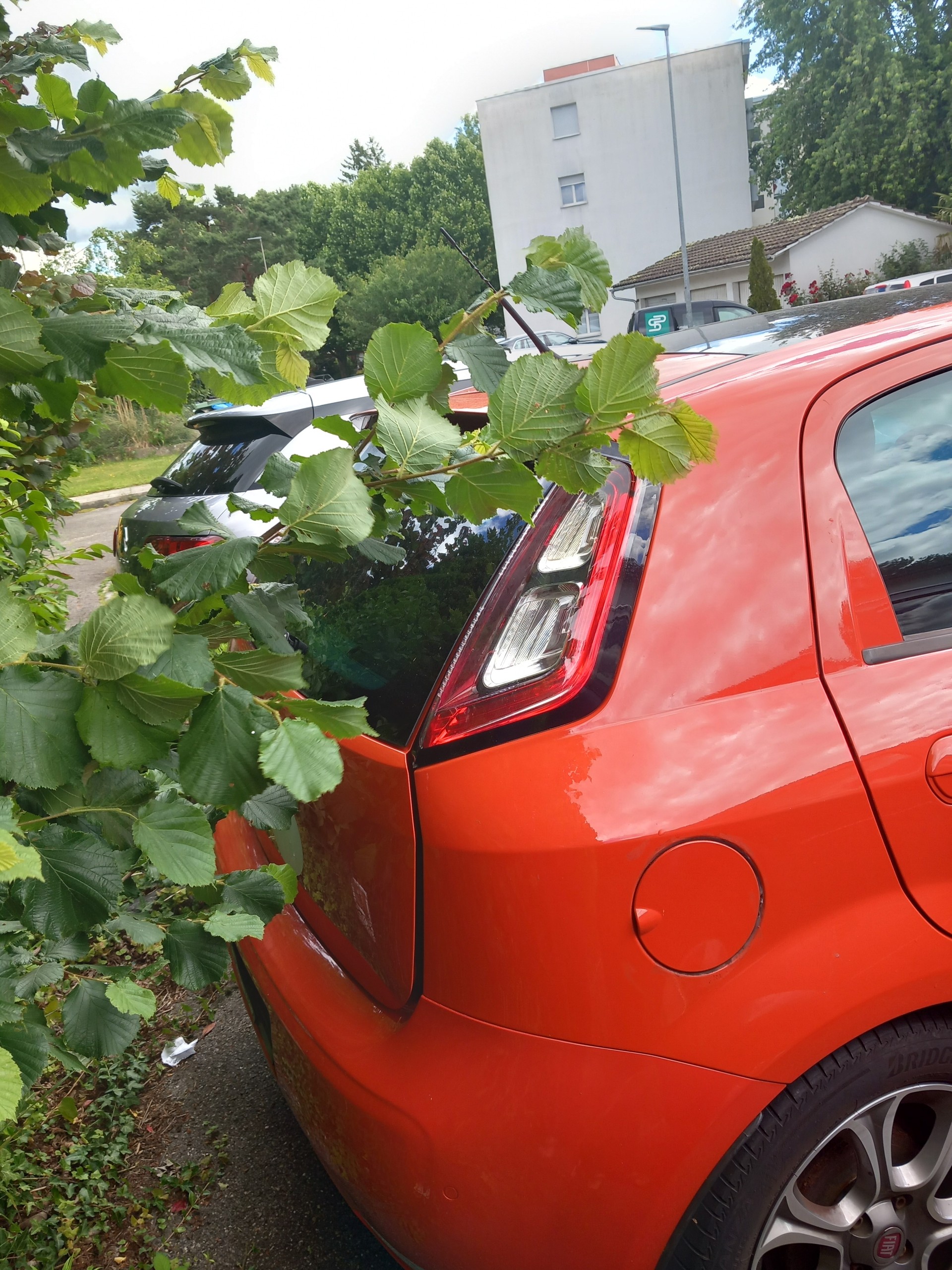 FIAT Punto 0.9 Twinair MYSTYLE-image-4