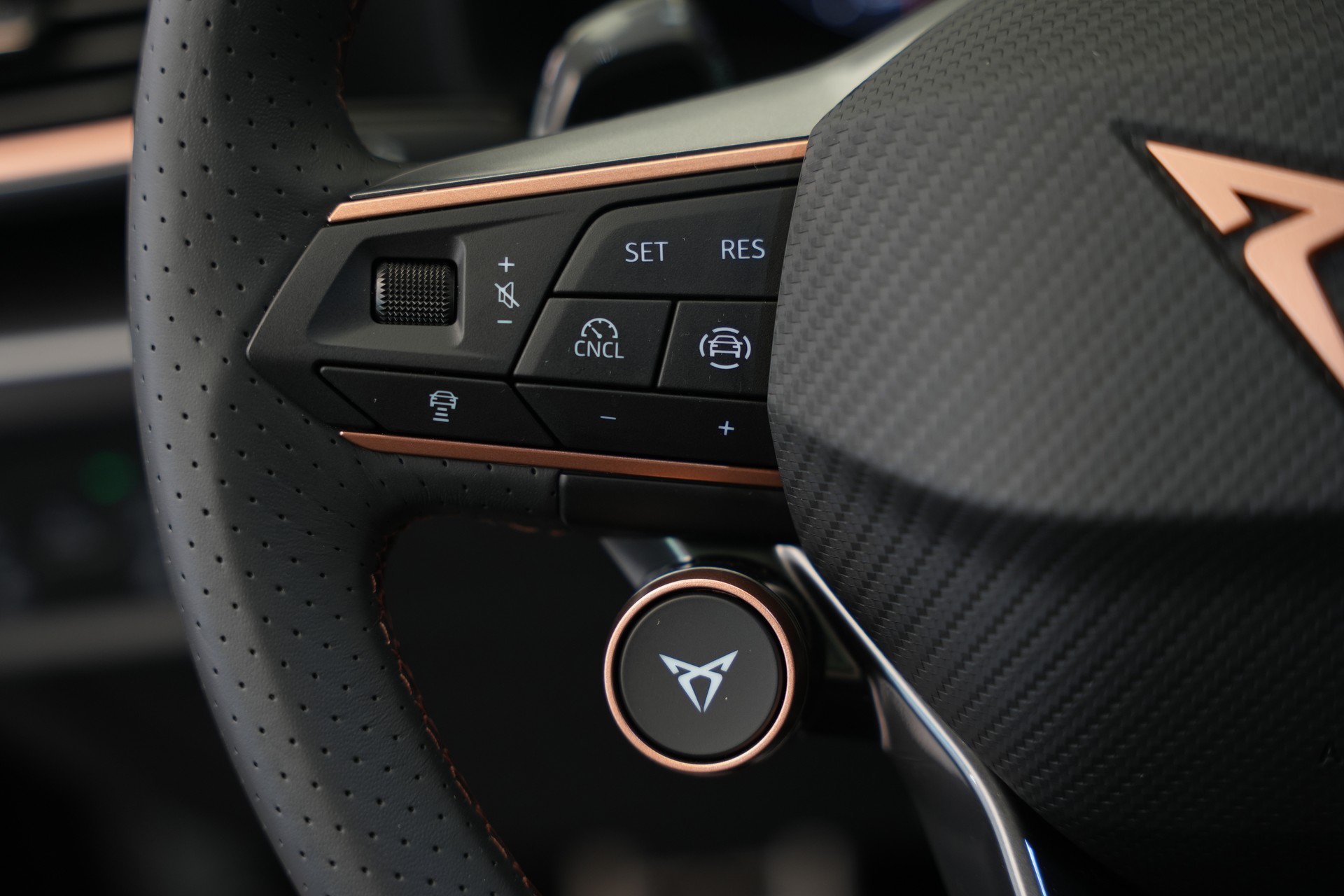 CUPRA Formentor 2.0TSI VZ 4Drive DSG *CH-Fahrzeug* *AHK* *Panorama* *Assistenzpaket*-image-23
