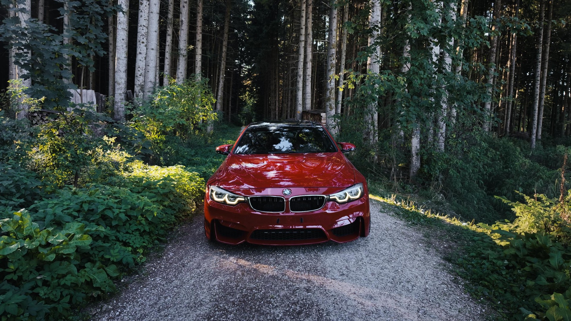 BMW M4 Coupé Limited Edition DKG-image-4