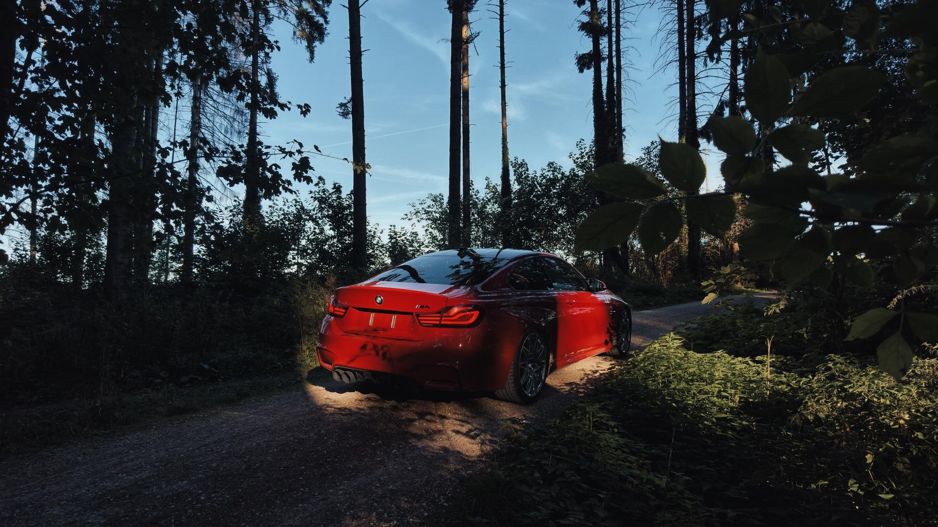 BMW M4 Coupé Limited Edition DKG-image-1