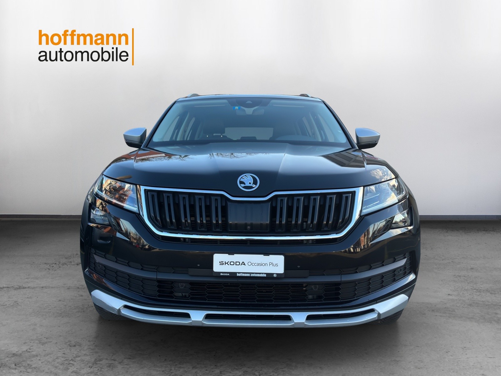SKODA Kodiaq 2.0 TDI CR Scout 4x4 DSG-image-1