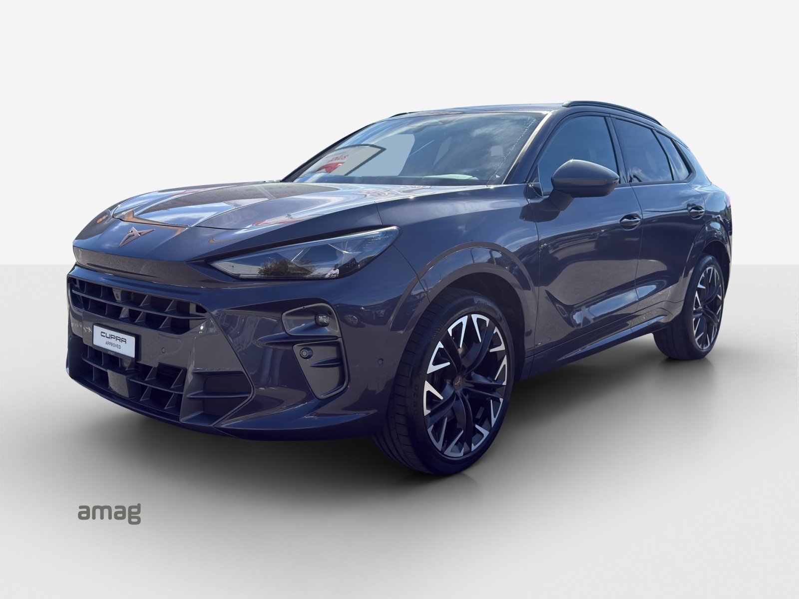 CUPRA Terramar 2.0 TSI DSG 4Drive VZ-image-0