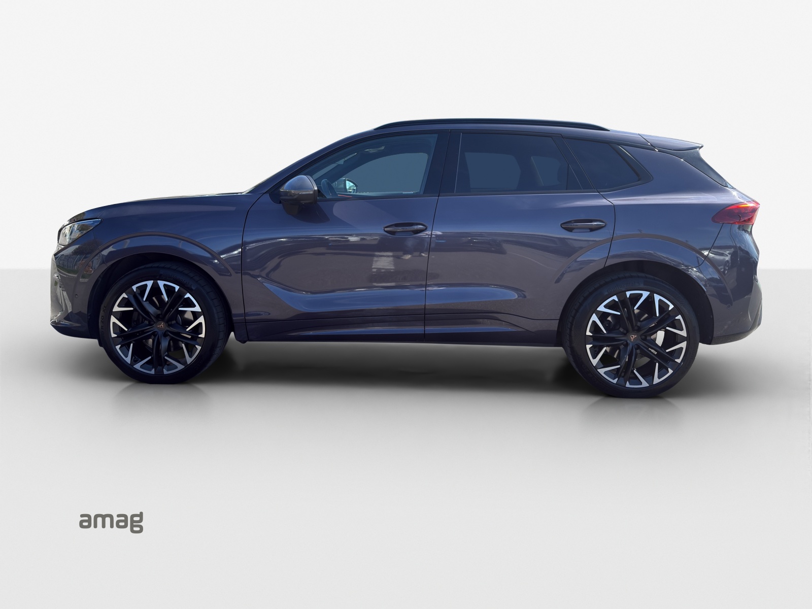CUPRA Terramar 2.0 TSI DSG 4Drive VZ-image-1