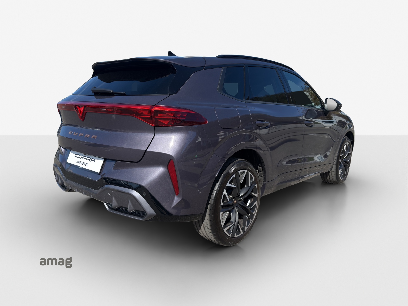 CUPRA Terramar 2.0 TSI DSG 4Drive VZ-image-4