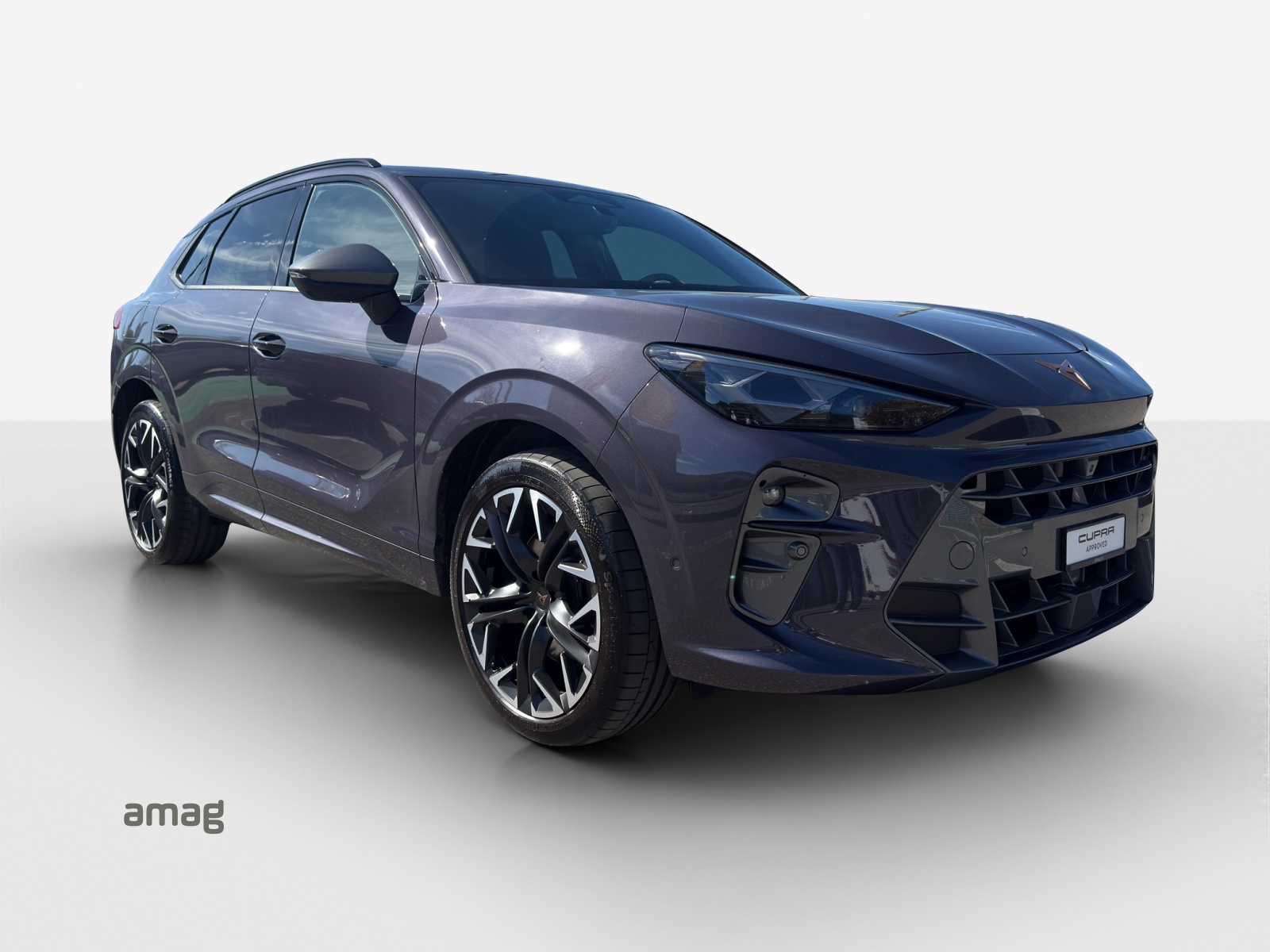 CUPRA Terramar 2.0 TSI DSG 4Drive VZ-image-5