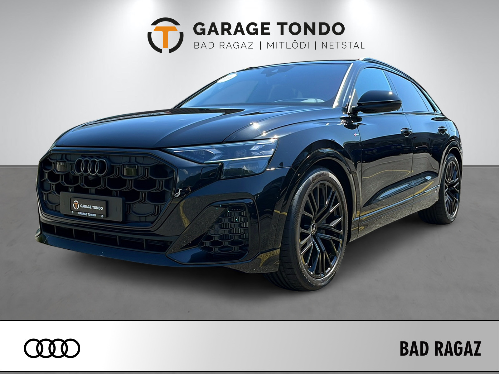 AUDI Q8 SUV 290 kW TFSI/elektrisch-image-0