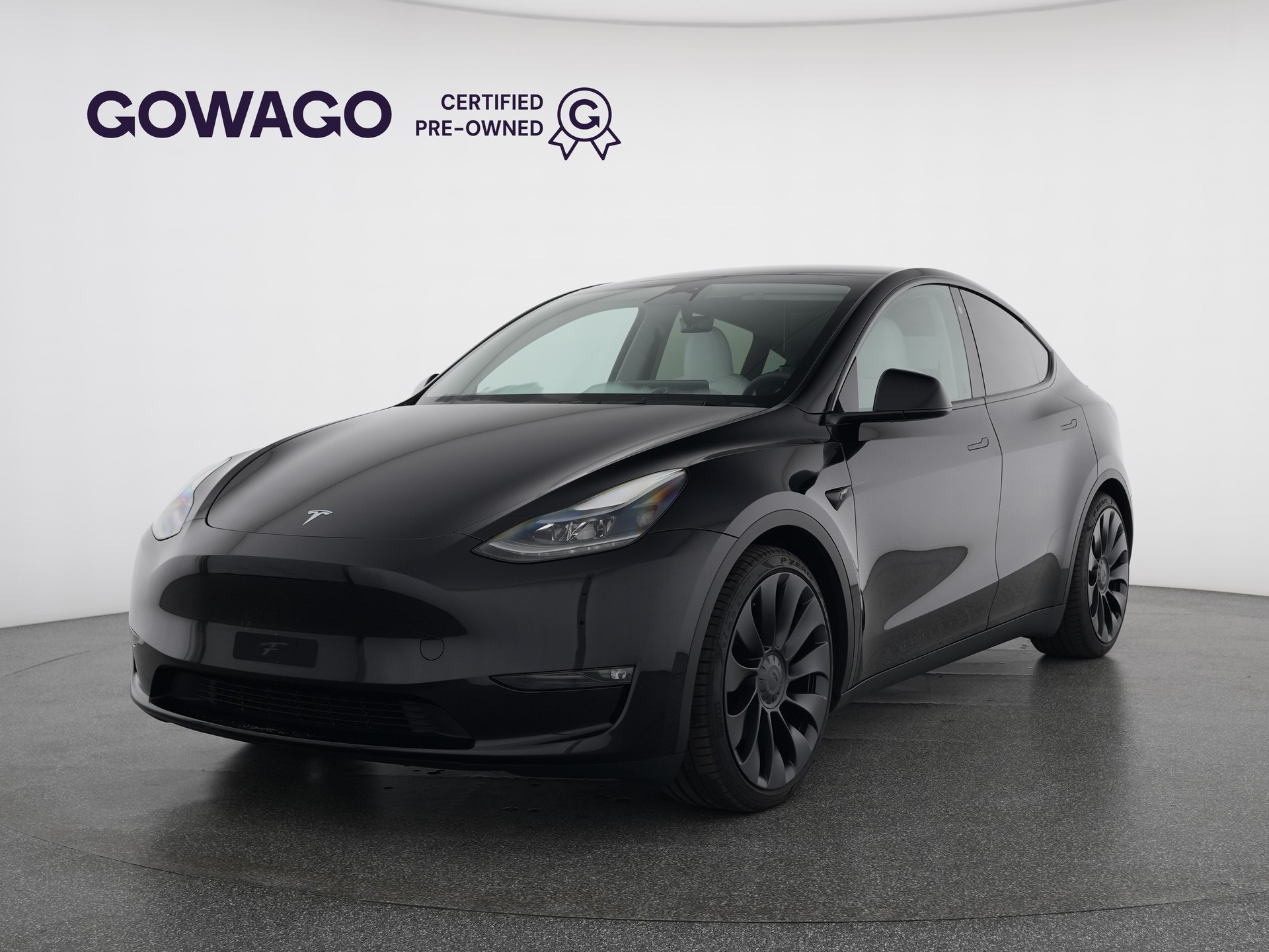 TESLA Model Y Performance-image-0