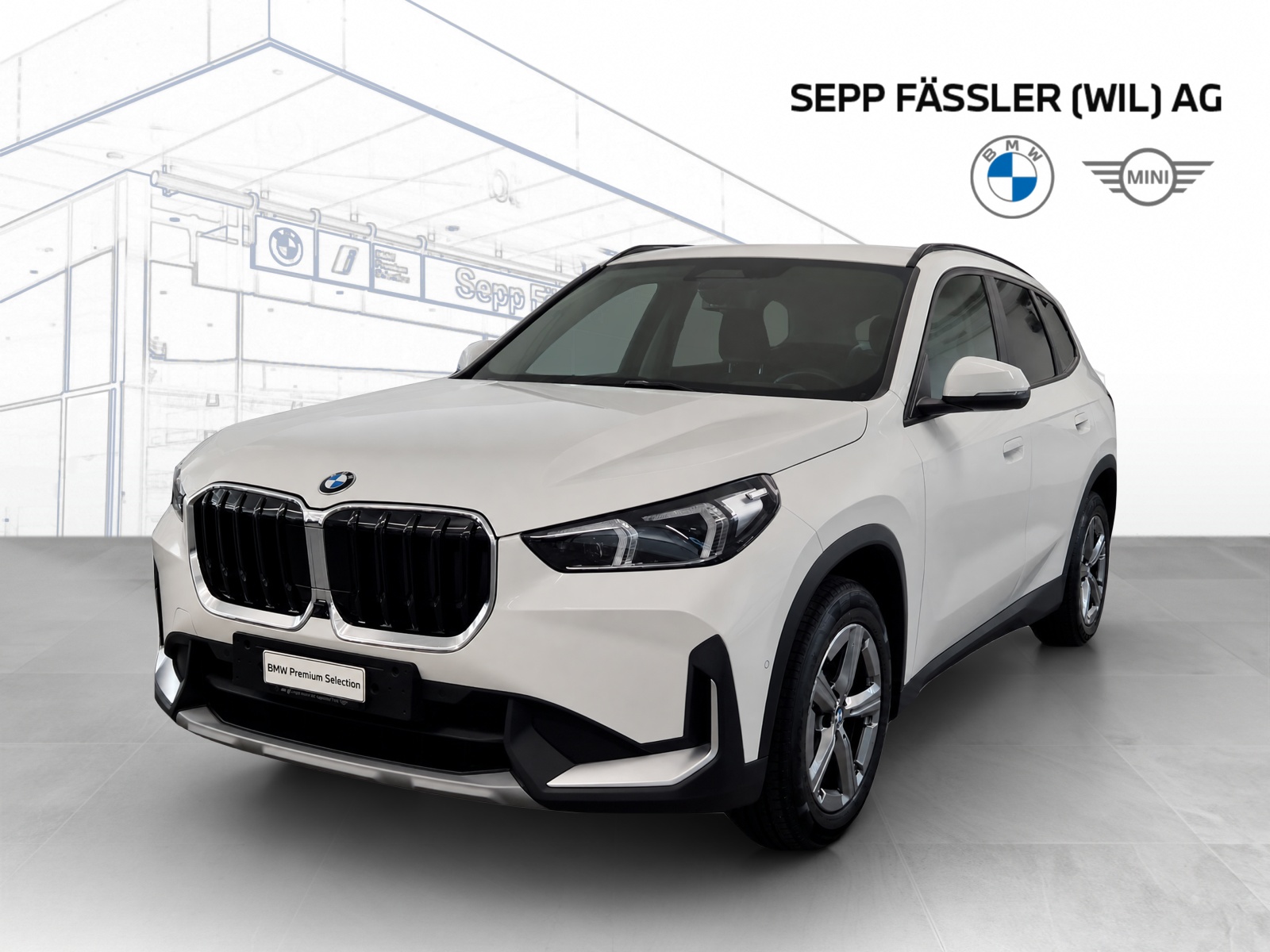 BMW X1 xDrive 20d Steptronic-image-0