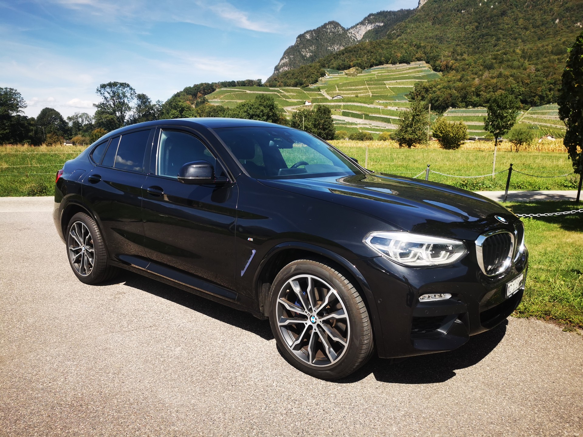 BMW X4 xDrive 30d M Sport Steptronic