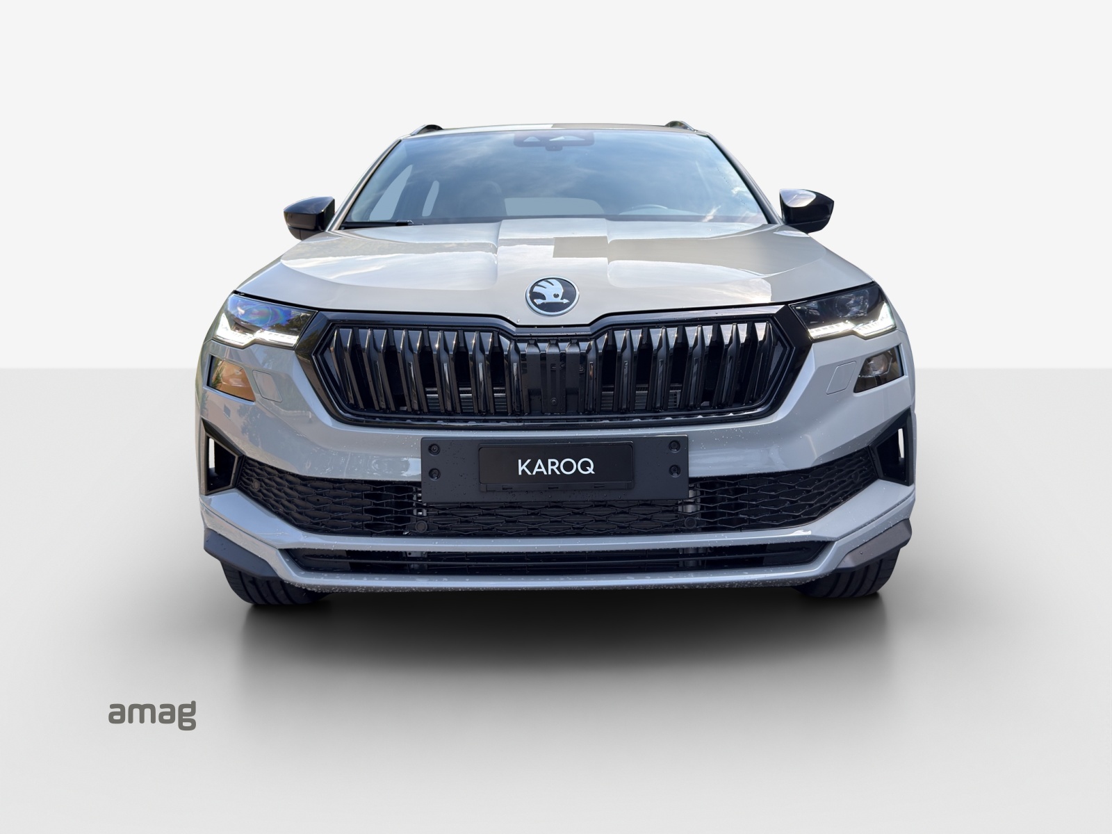 SKODA Karoq 2.0 TSI SportLine 4x4 DSG-image-6