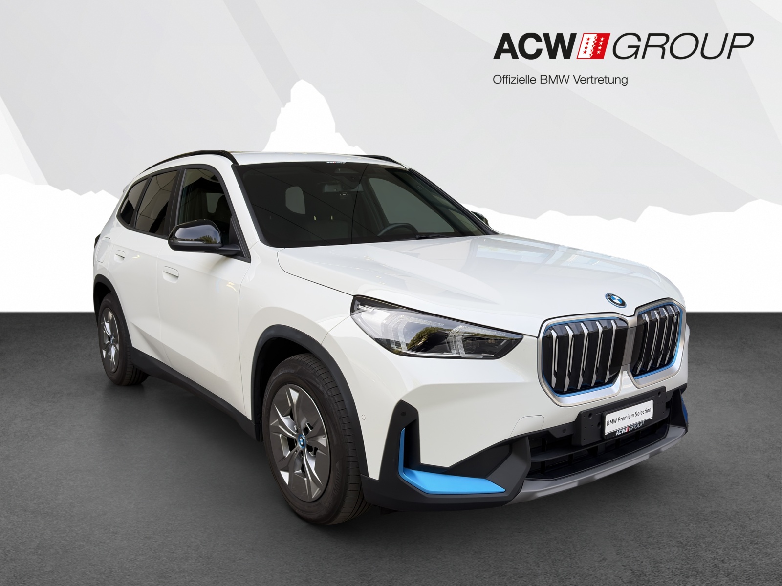 BMW iX1 xDrive30-image-6