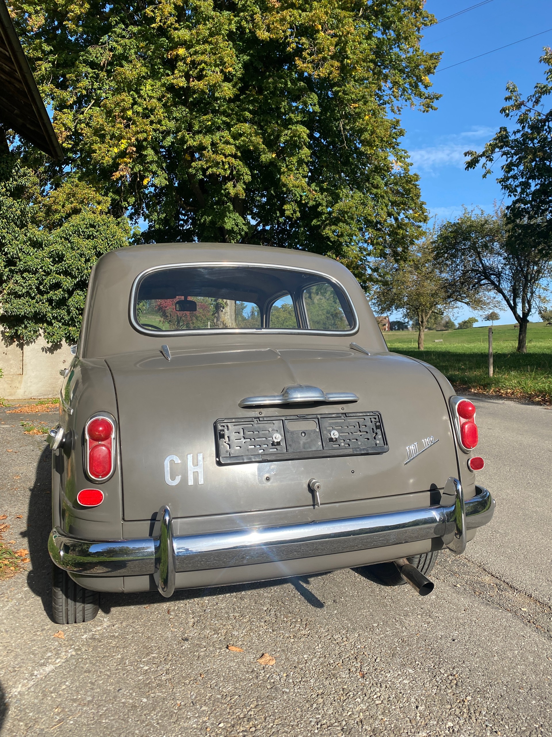 FIAT 1100 (103)-image-6