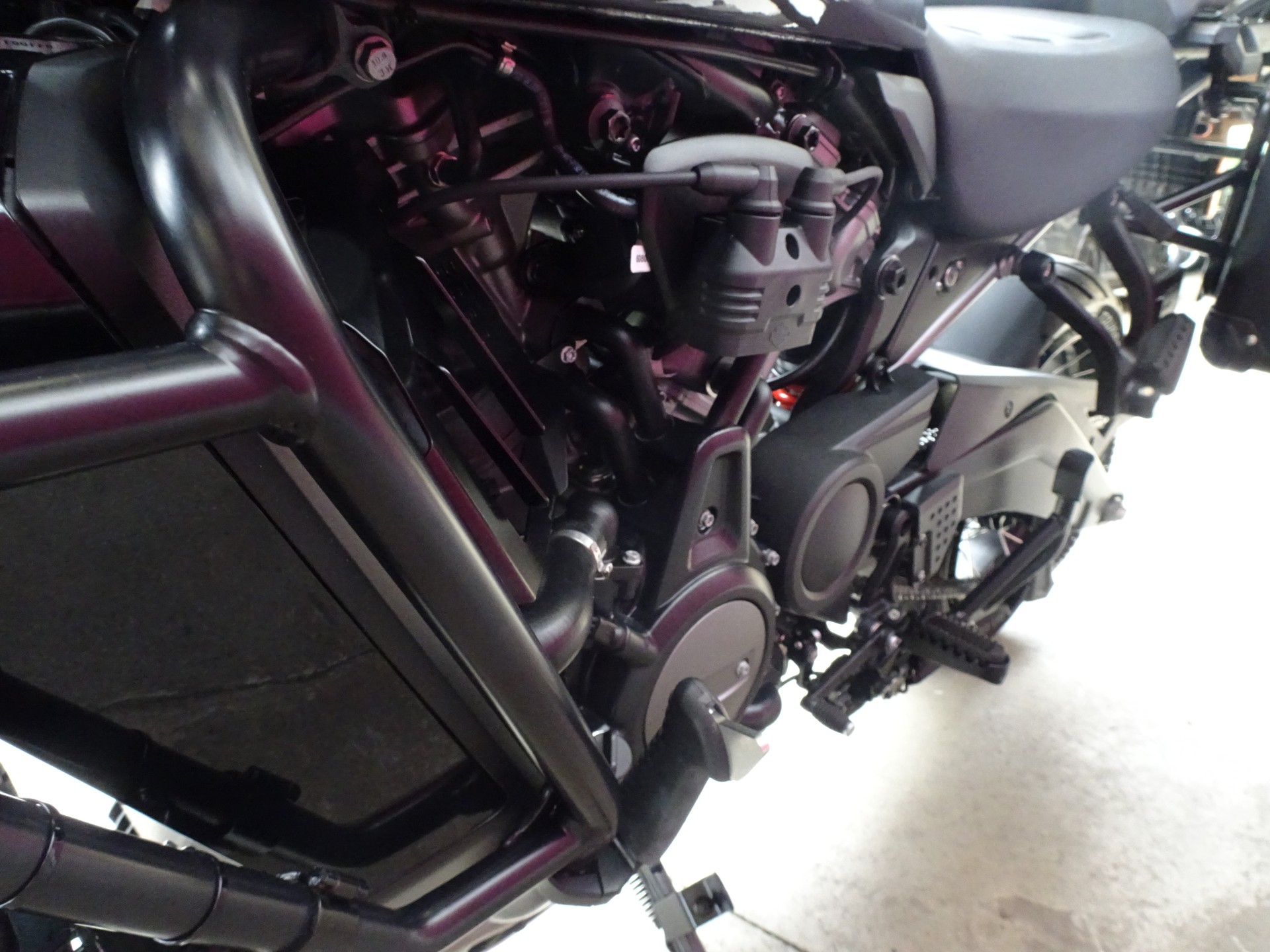 HARLEY-DAVIDSON RA Pan America 1250 Special-image-12