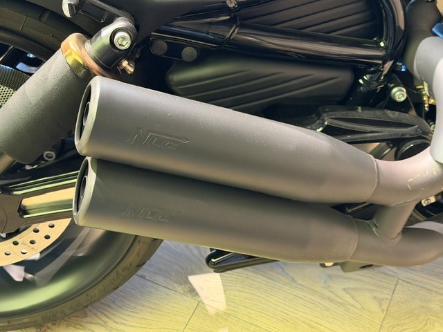 HARLEY-DAVIDSON VRSCDX-image-7