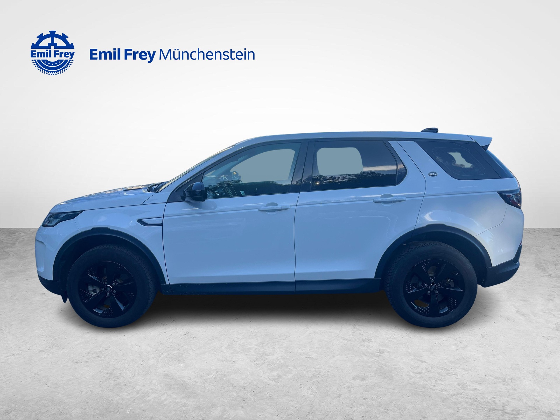LAND ROVER Discovery Sport 2.0 TD4 |-image-1