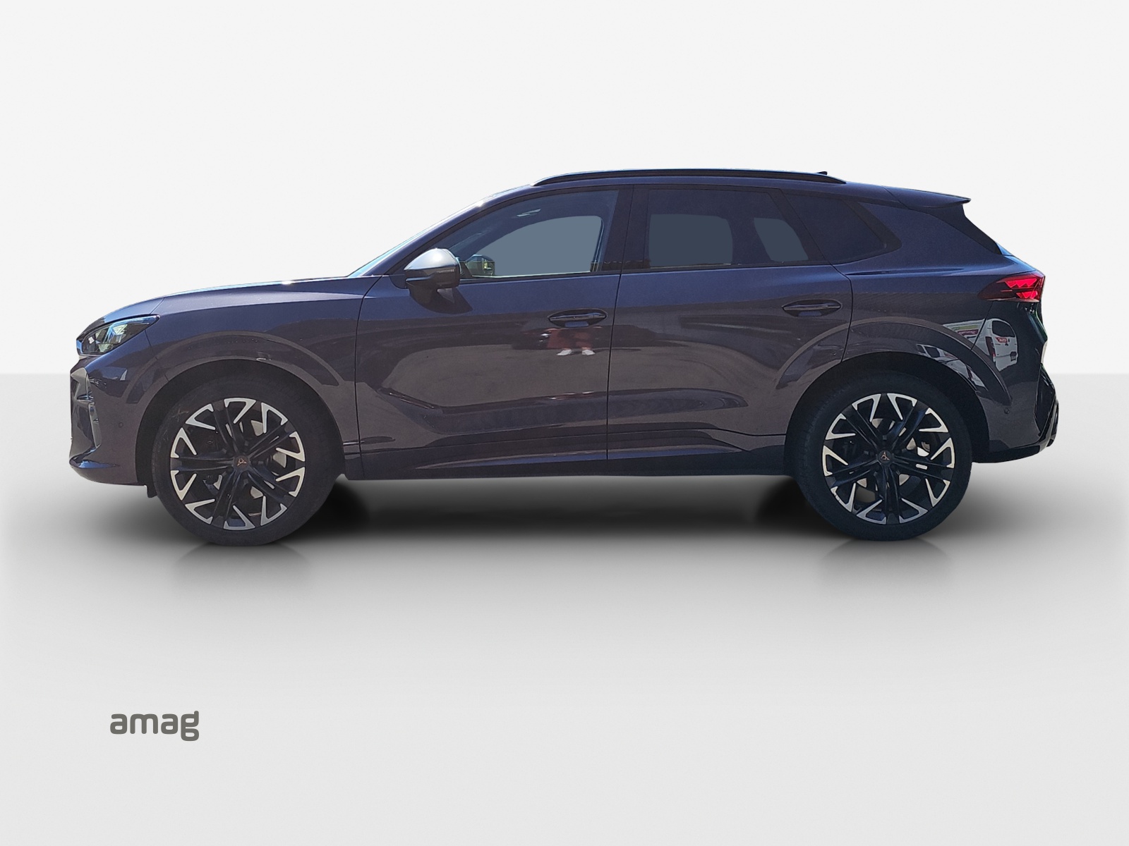 CUPRA Terramar 2.0 TSI DSG 4Drive VZ-showroom-element-1