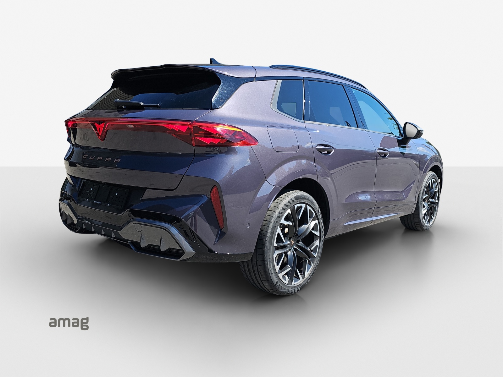 CUPRA Terramar 2.0 TSI DSG 4Drive VZ-image-4