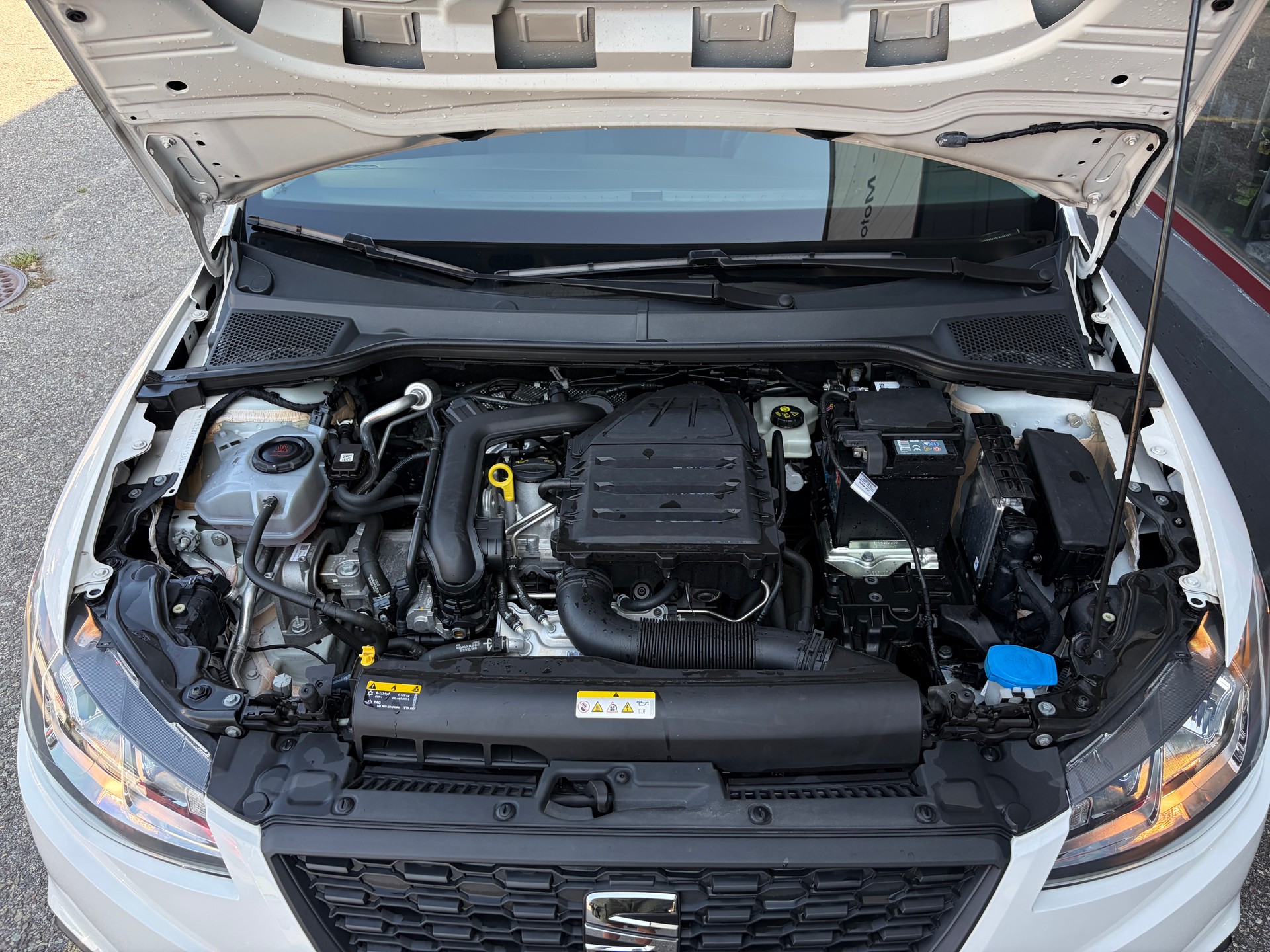 SEAT Ibiza 1.0 EcoTSI Reference-image-15
