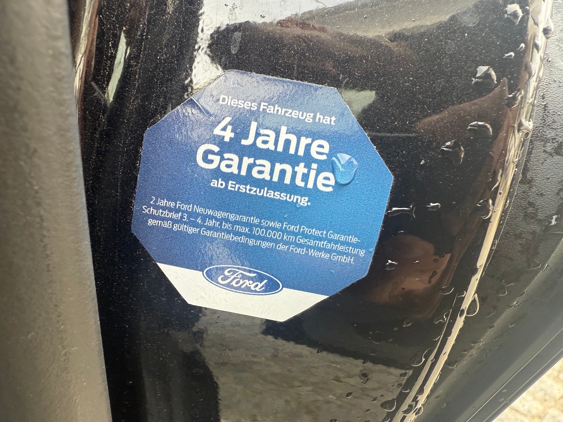 FORD Tourneo Bus 340 L1H1 PHEV Titanium-image-8