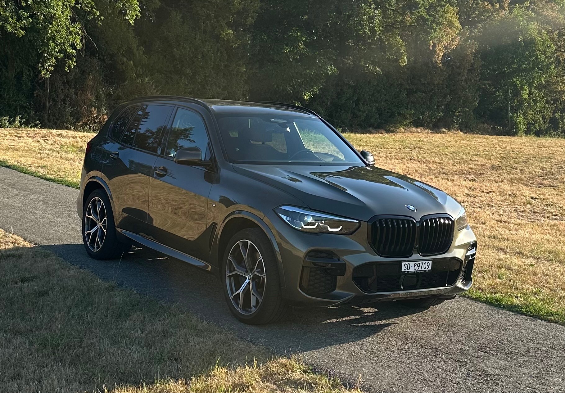 BMW 30d xDrive SAG-image-1