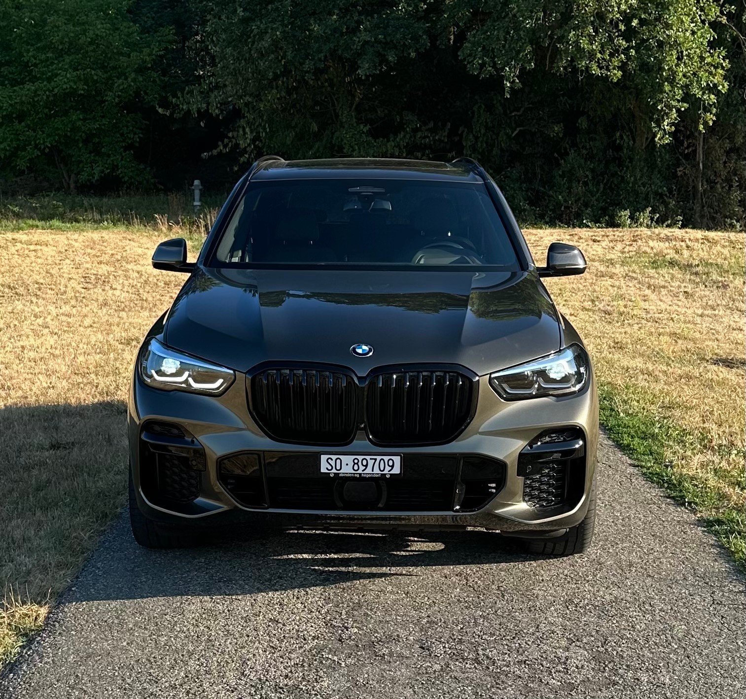 BMW 30d xDrive SAG-image-2