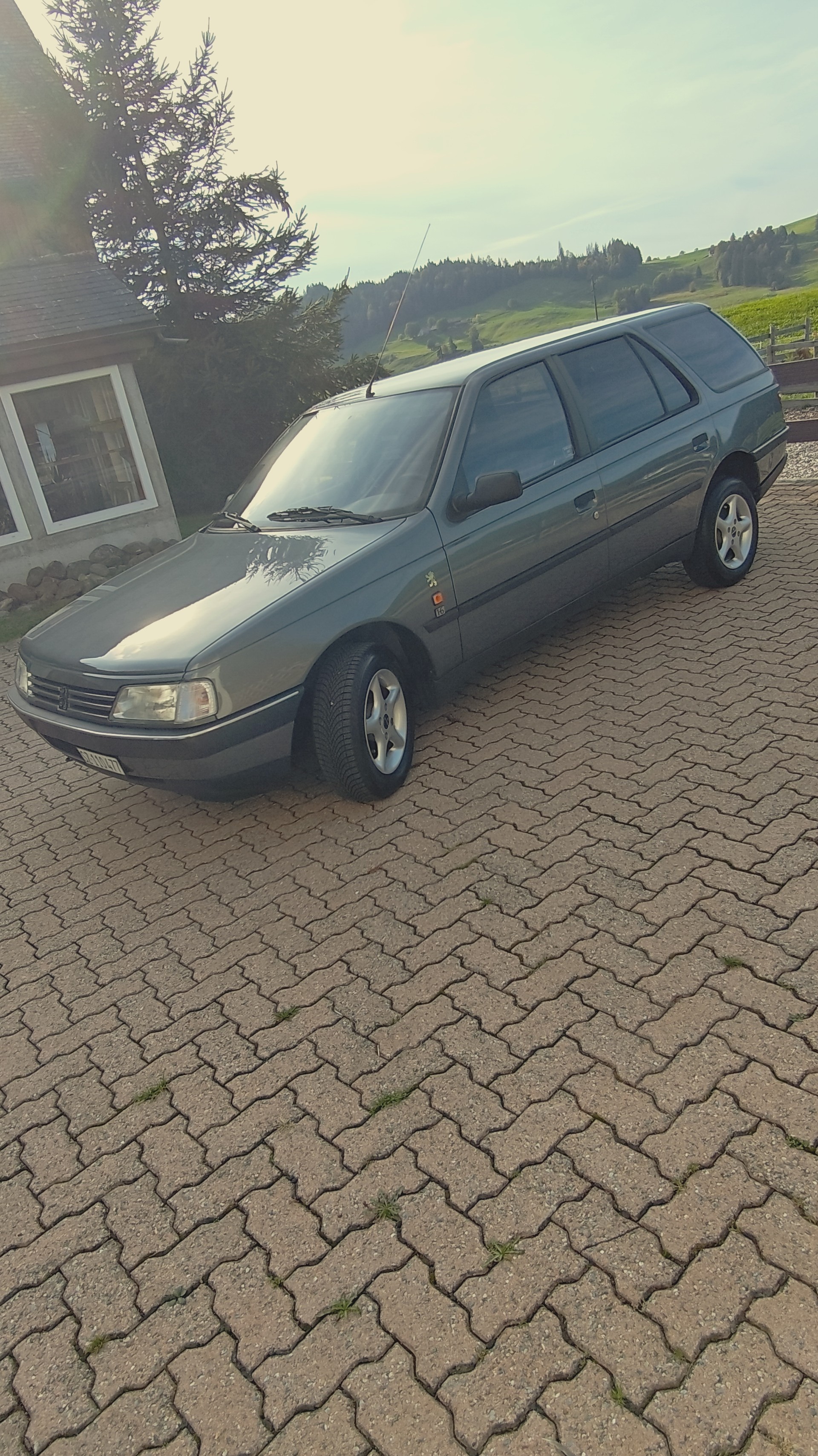 PEUGEOT 1.6 GLX-image-2