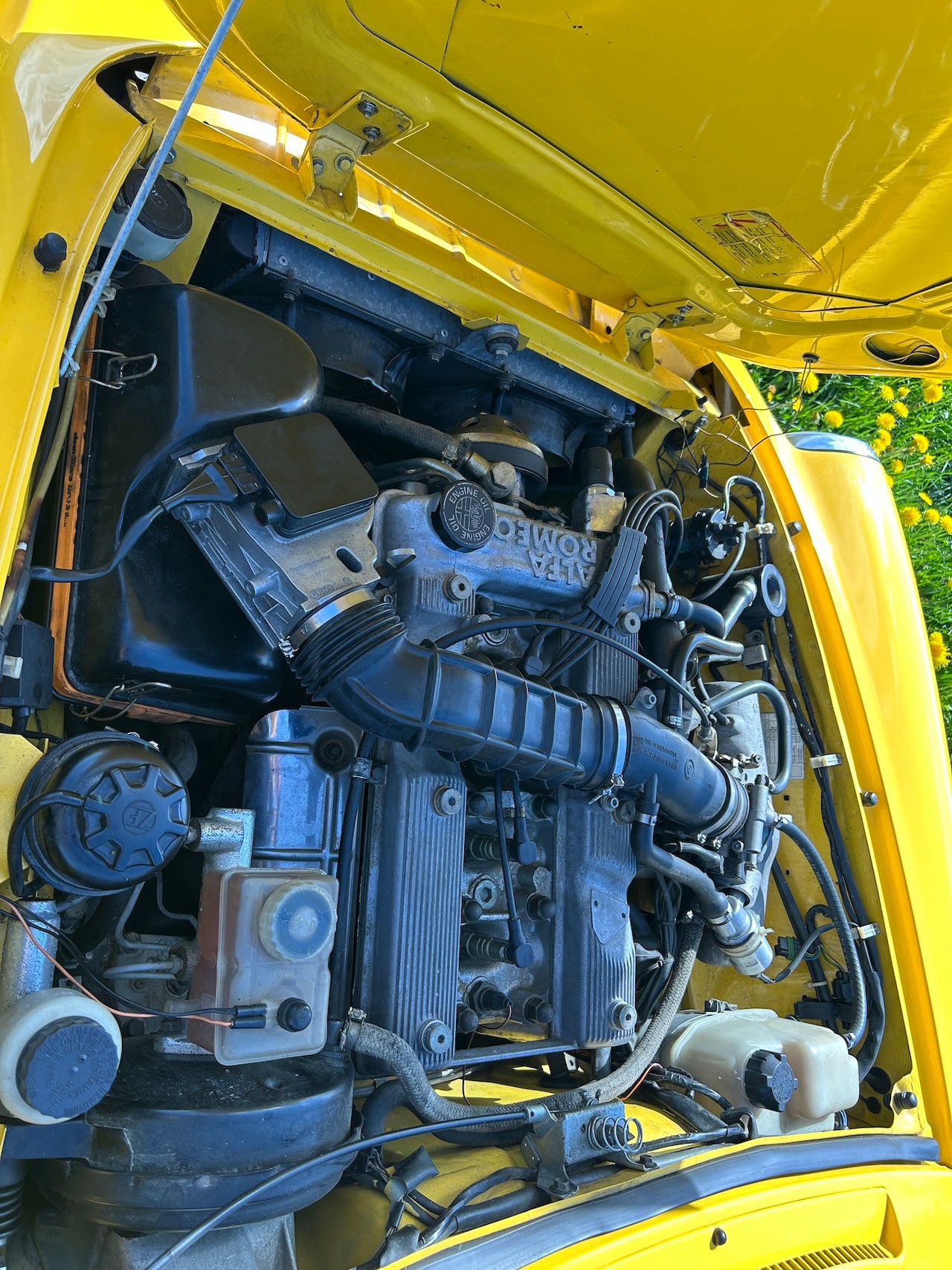 ALFA ROMEO Spider 2.0-image-15