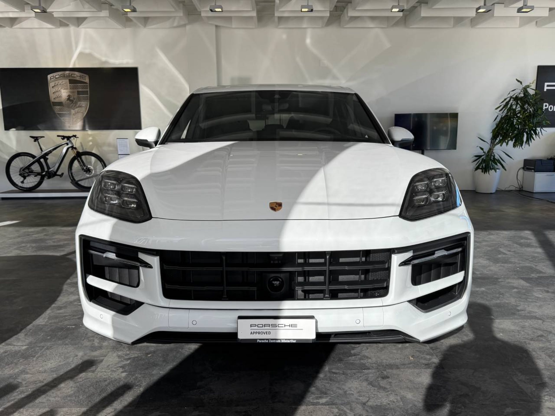 PORSCHE Cayenne E-Hybrid-image-5