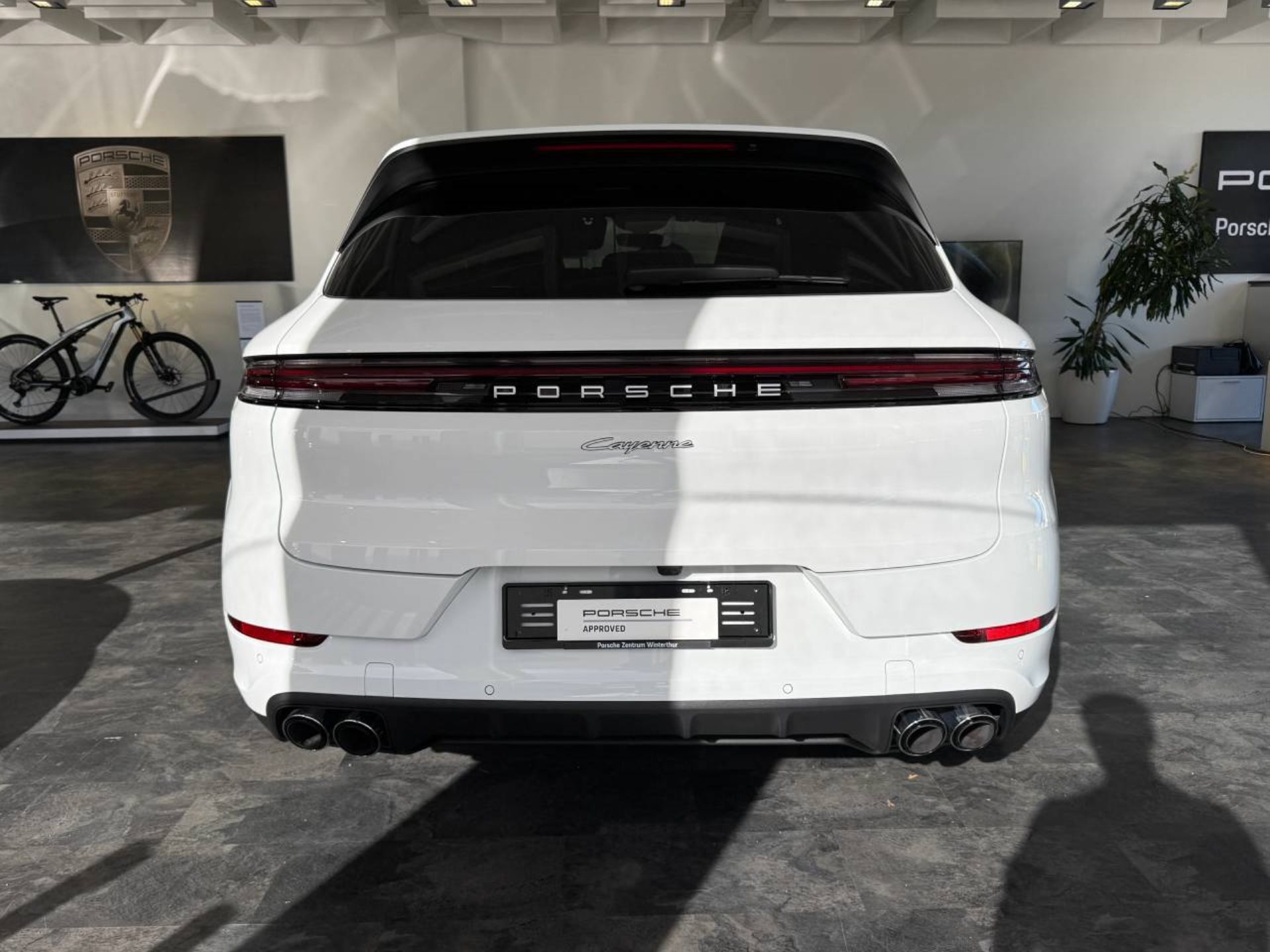 PORSCHE Cayenne E-Hybrid-image-6