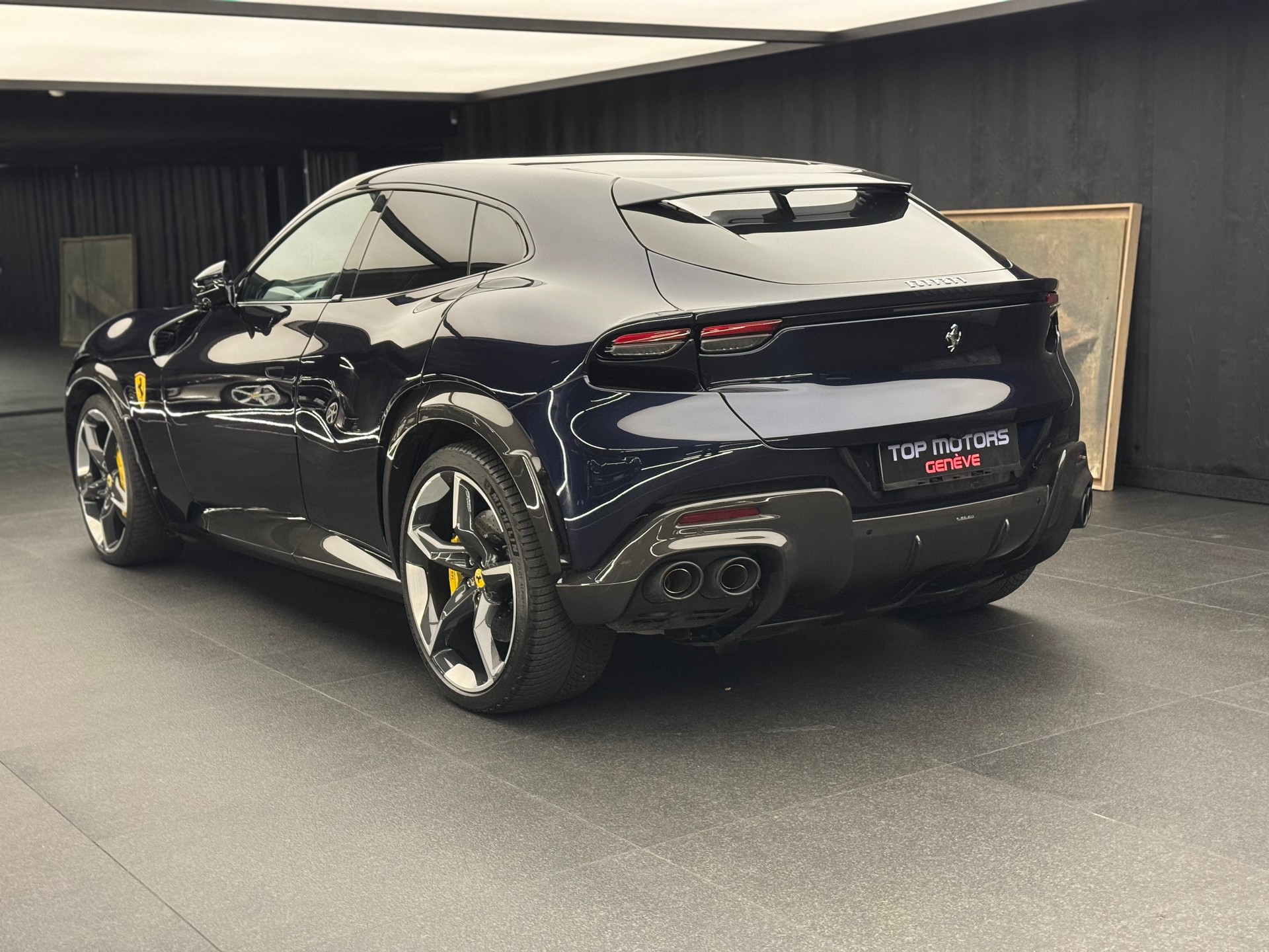 FERRARI PUROSANGUE-image-1