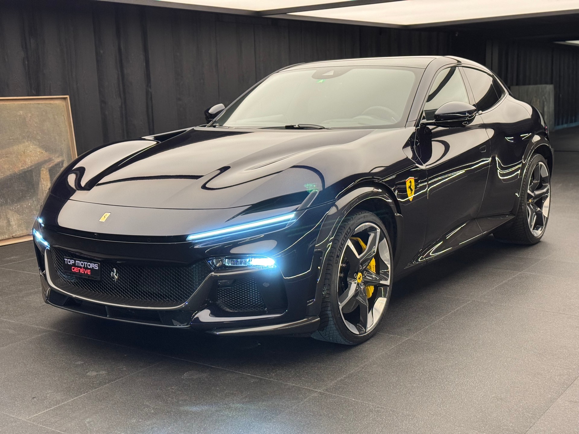 FERRARI PUROSANGUE-image-0