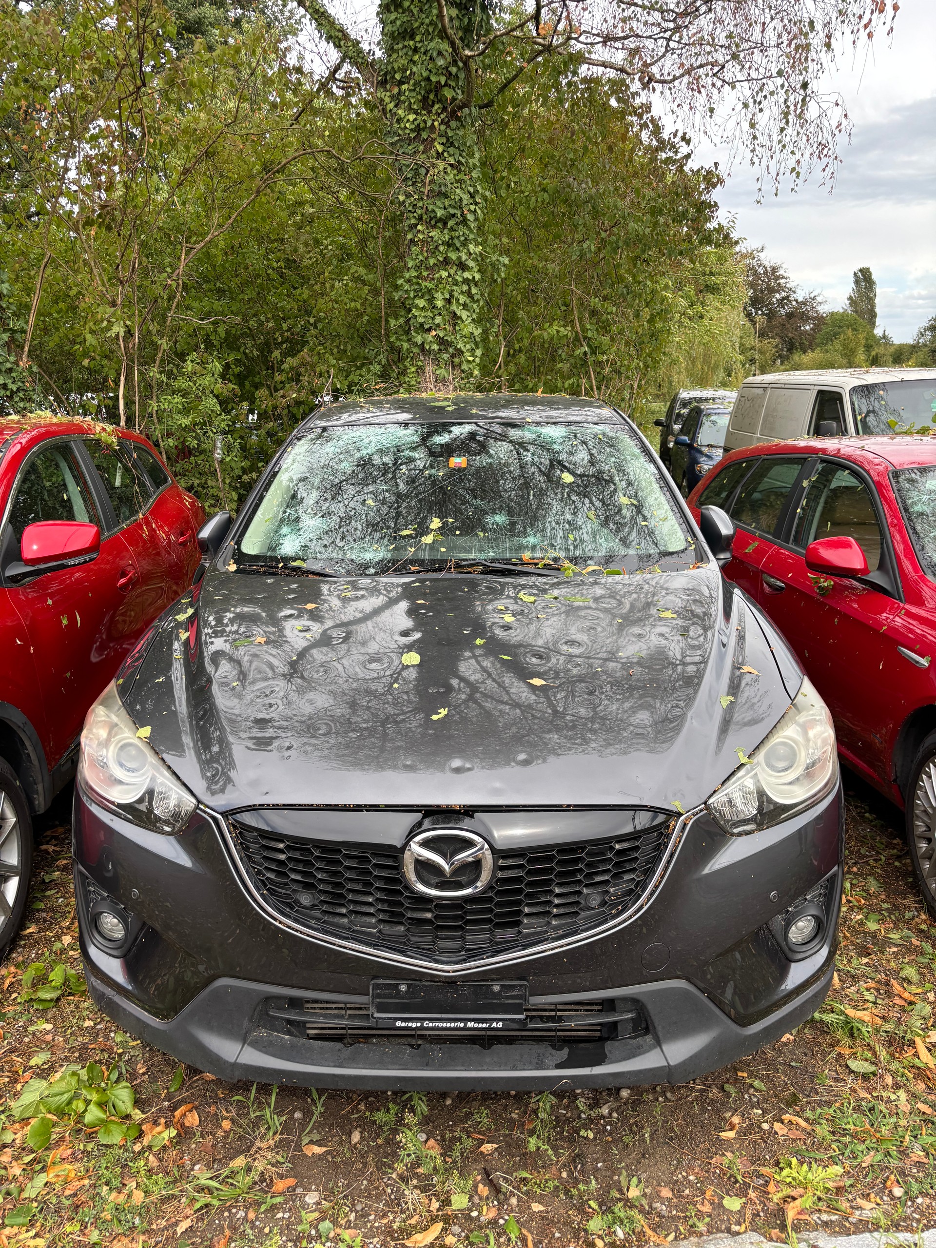 MAZDA CX-5 2.2 D Ambition AWD-image-1