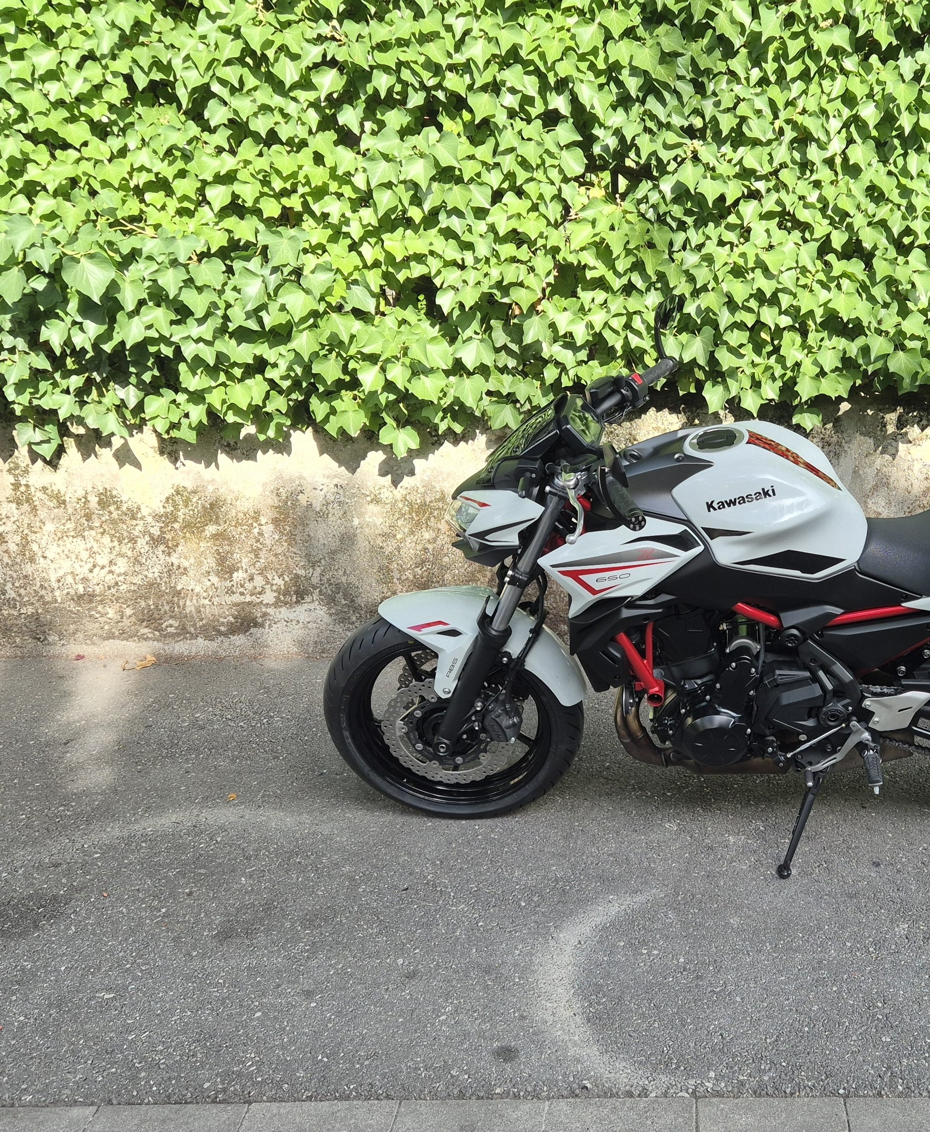 KAWASAKI Z 650 (35kW)-image-9