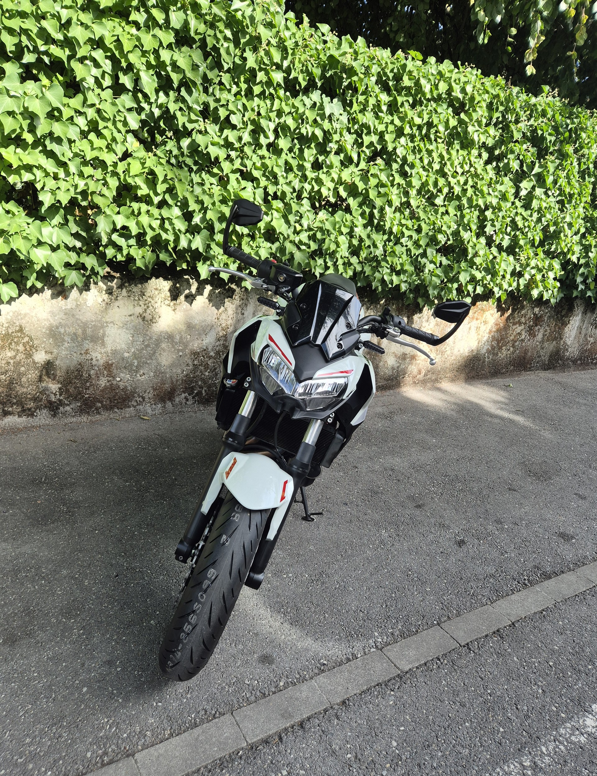 KAWASAKI Z 650 (35kW)-image-6