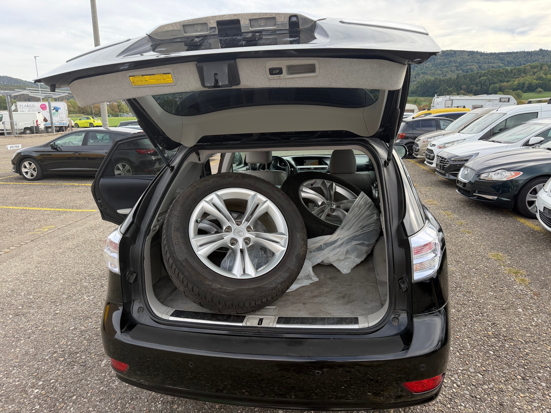 LEXUS RX 450h Edition AWD Automatic-image-6