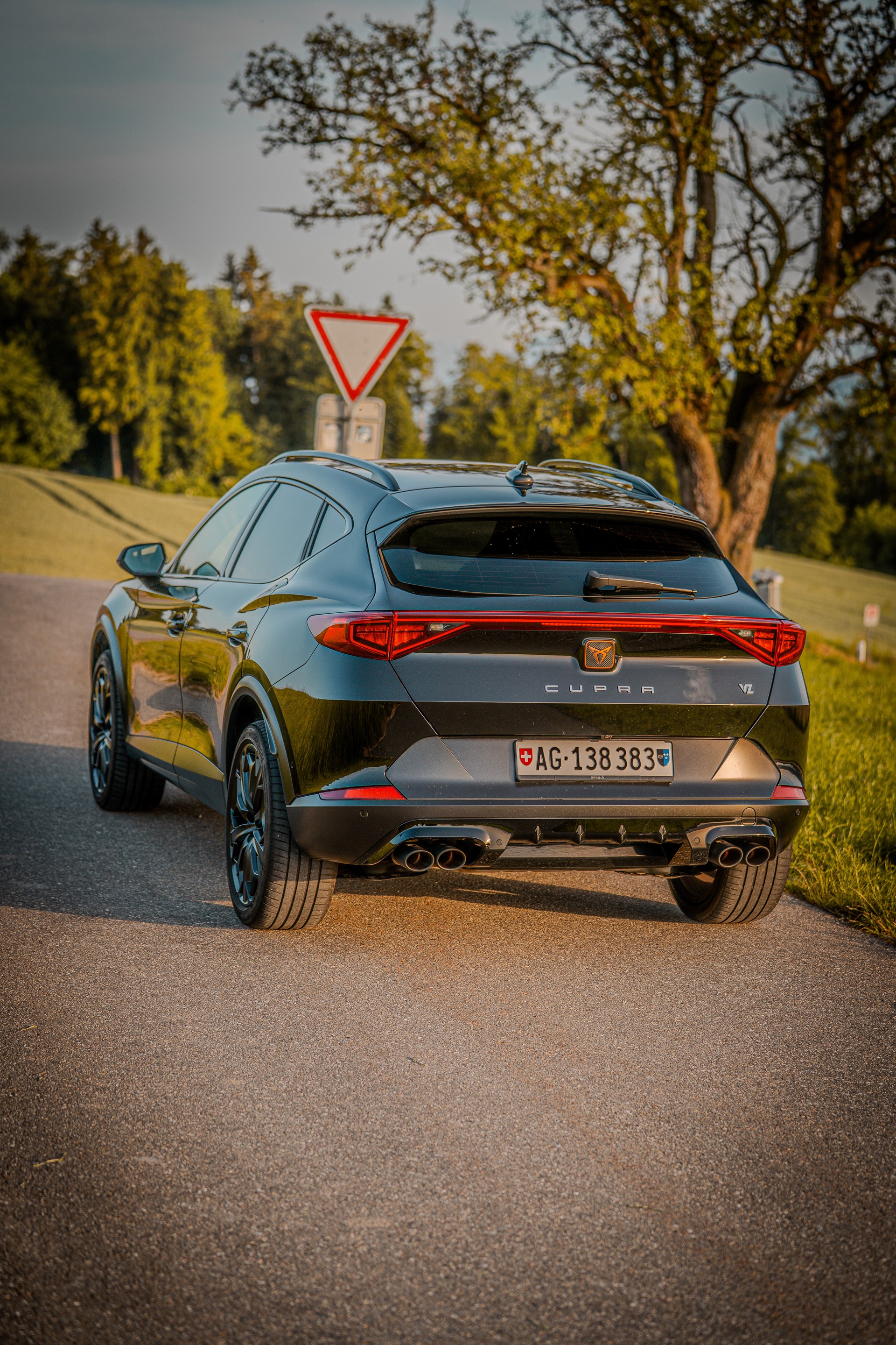 CUPRA 2.0 TSI VZ Tribe Edition 4Drive DSG-image-3