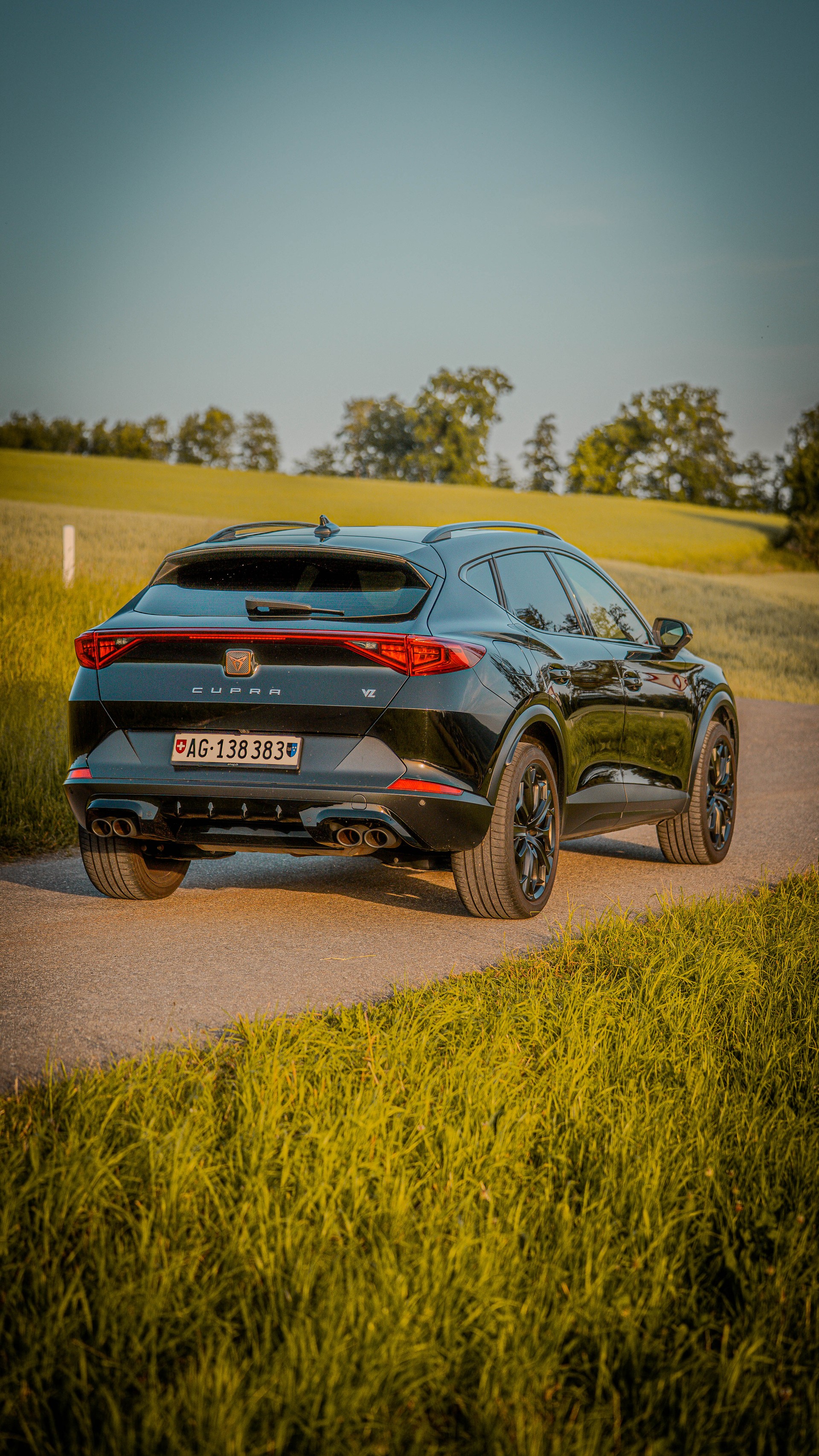 CUPRA 2.0 TSI VZ Tribe Edition 4Drive DSG-image-4
