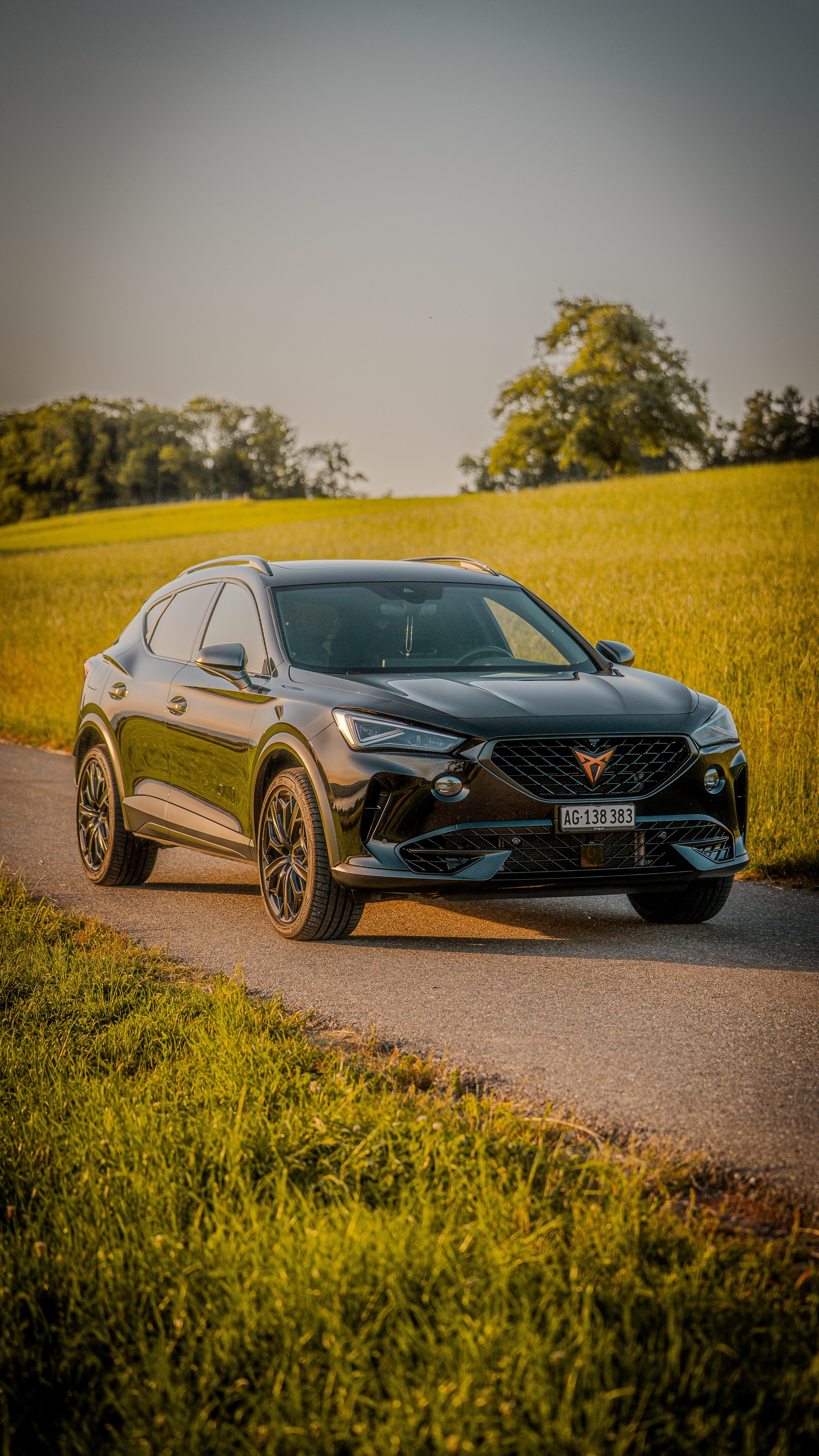 CUPRA 2.0 TSI VZ Tribe Edition 4Drive DSG-image-2