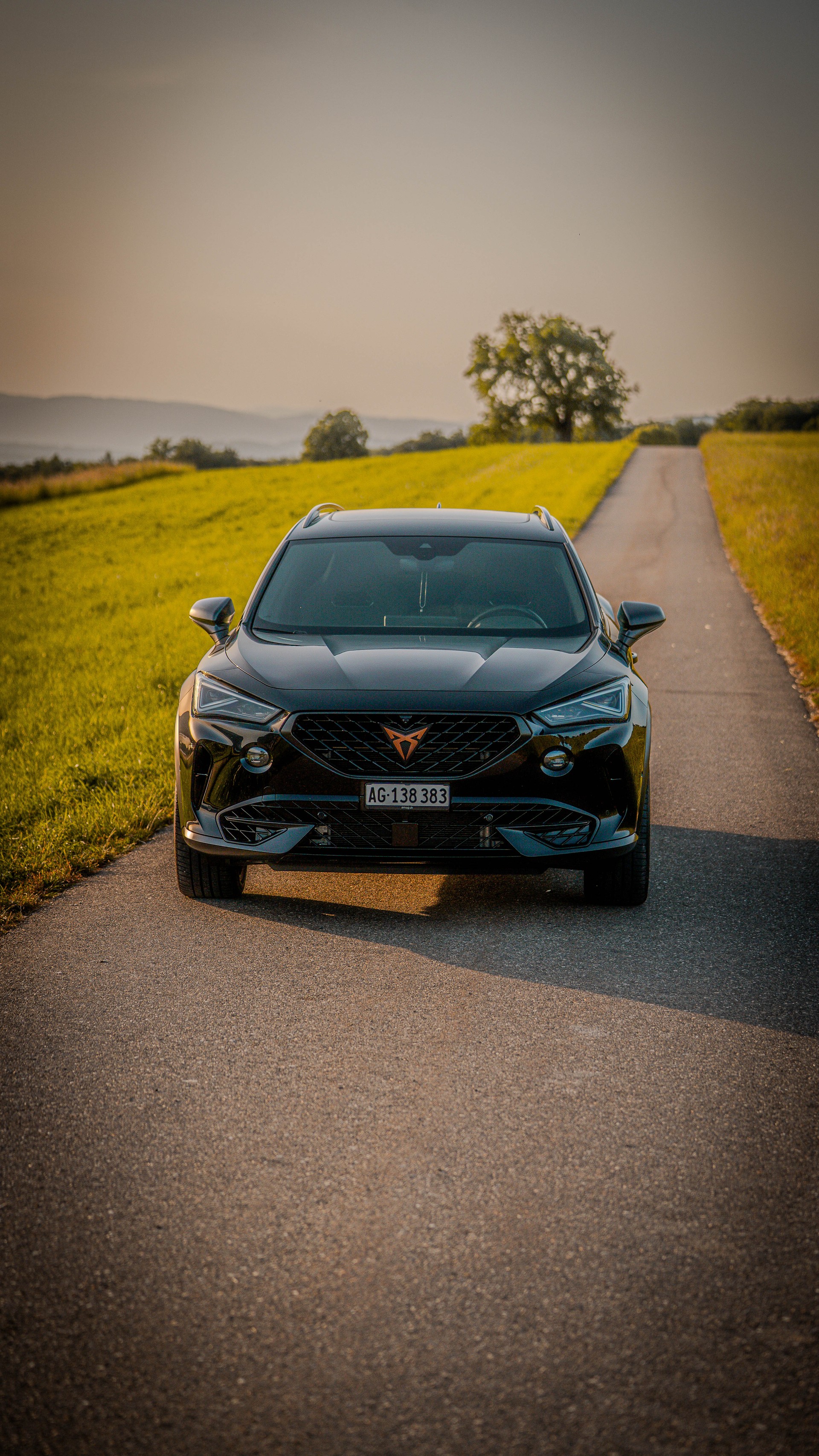 CUPRA 2.0 TSI VZ Tribe Edition 4Drive DSG-image-1