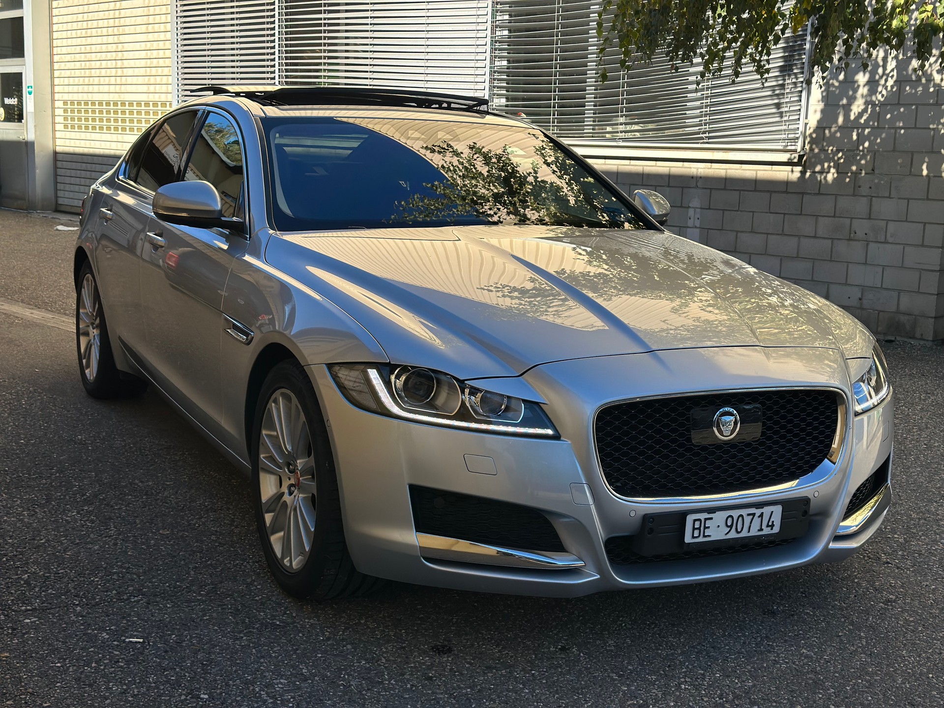 JAGUAR XF 20d Portfolio Automatic-image-2