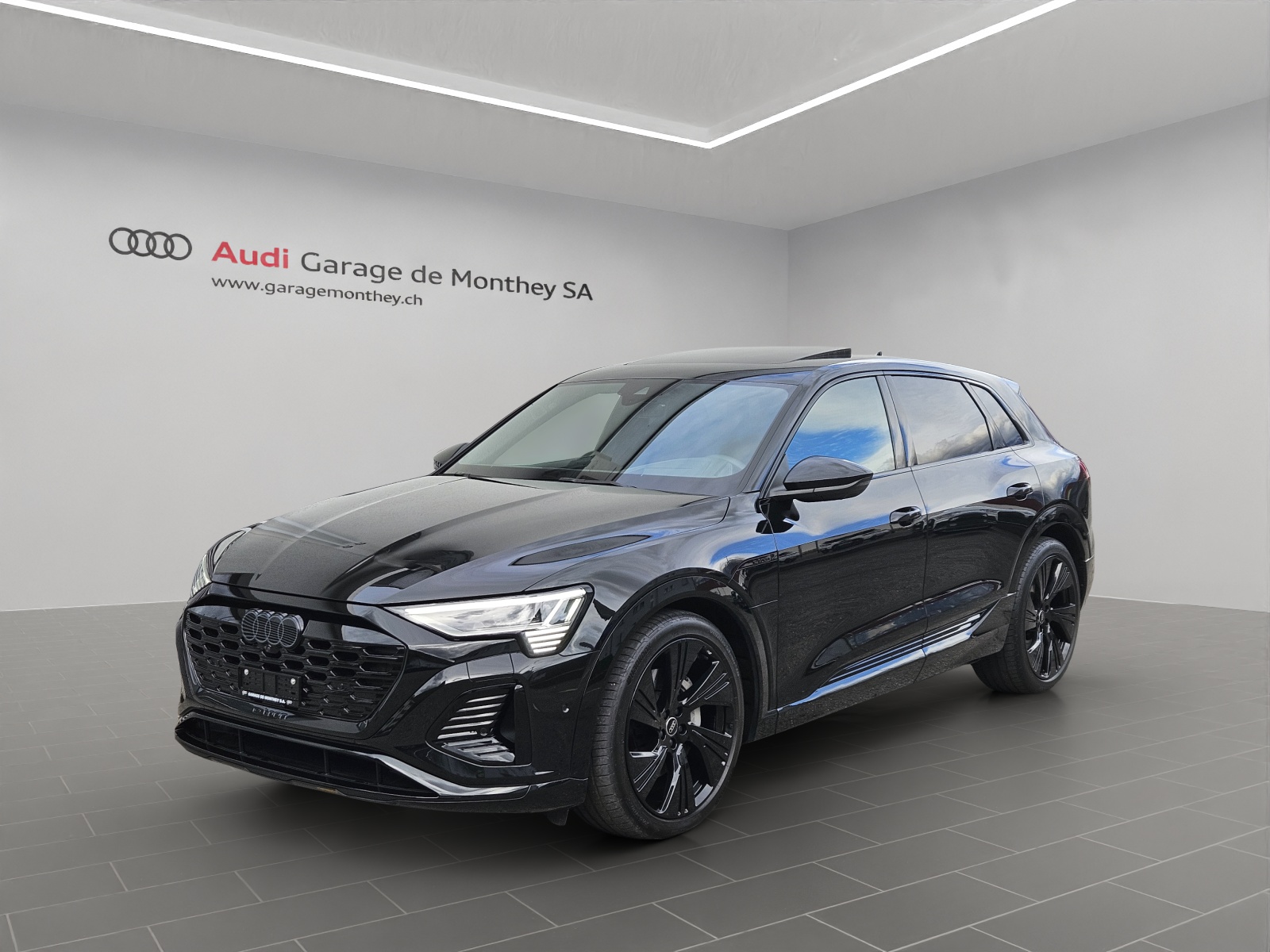 AUDI Q8 55 e-tron S line quattro-image-0